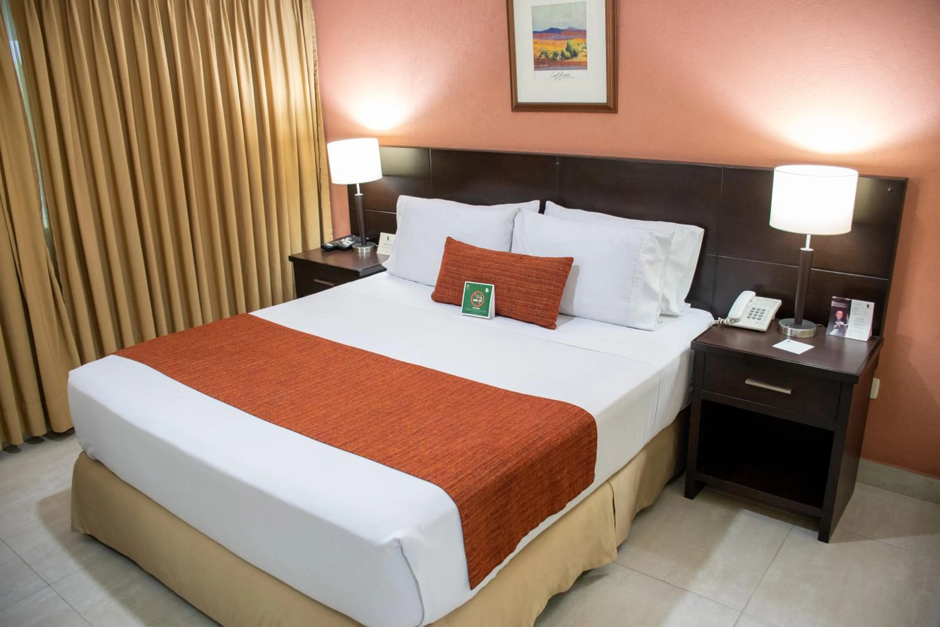 Senior Suite in Hotel Arizona Suites Cúcuta