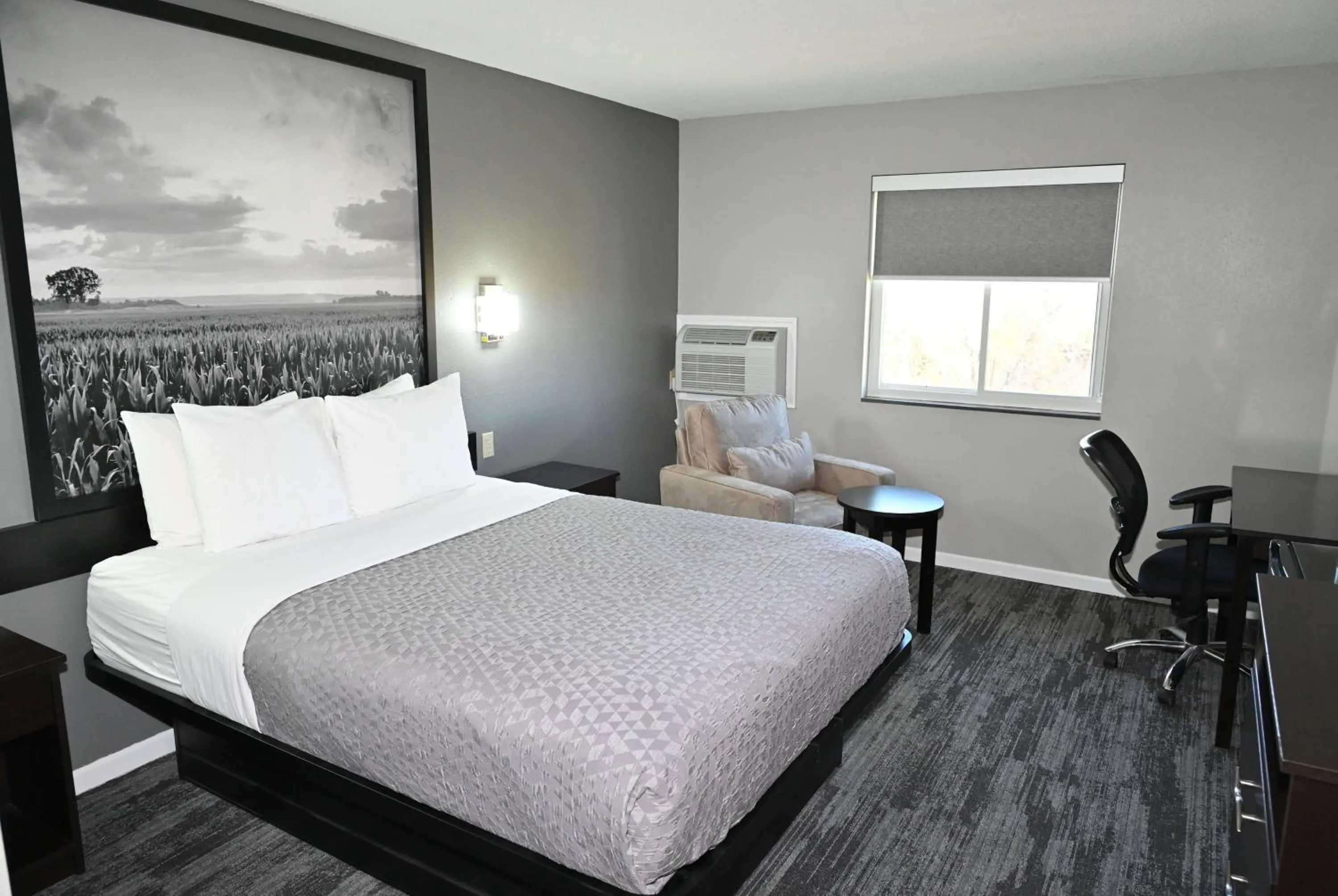 Queen Room - Non-Smoking in Super 8 by Wyndham Higginsville