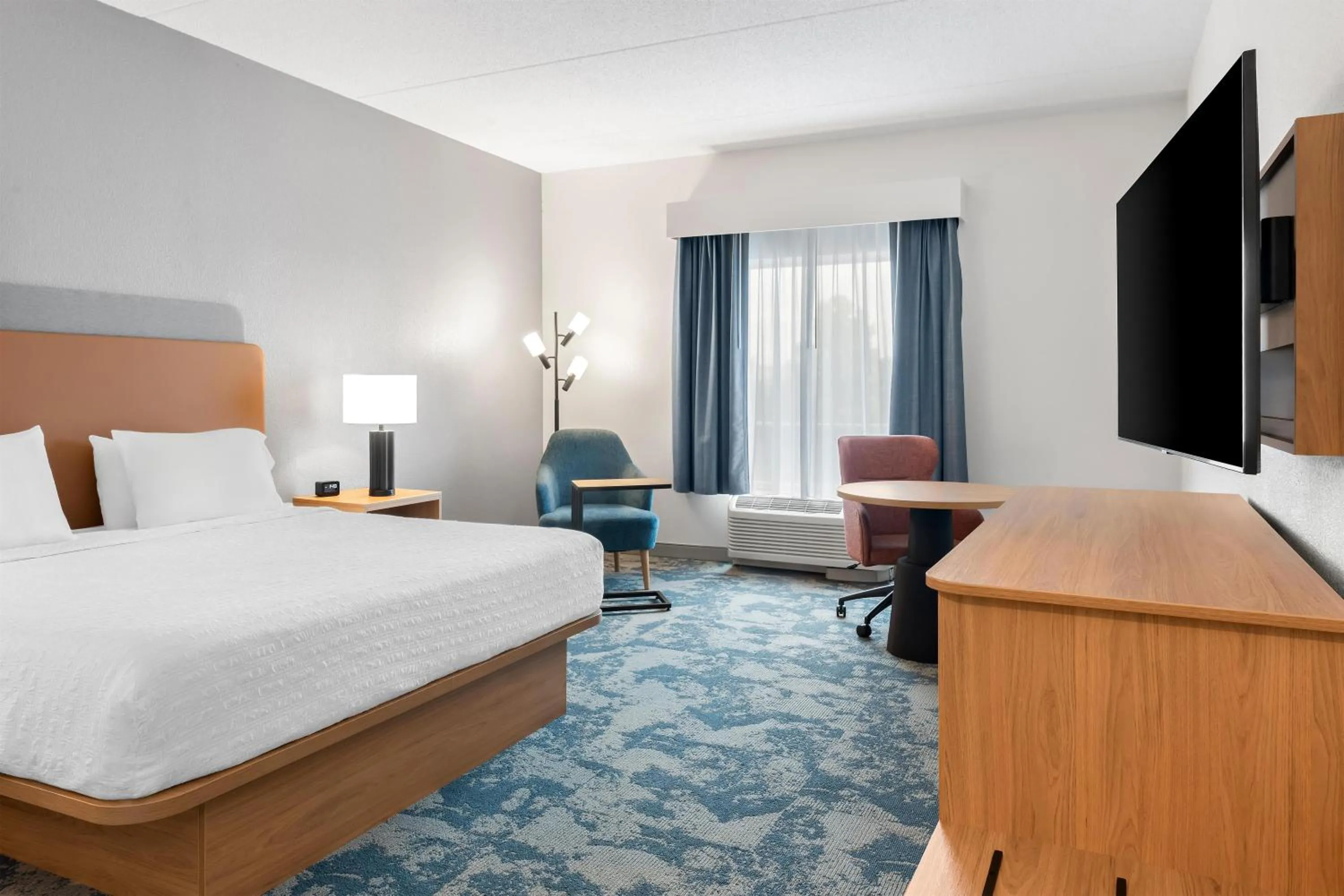King Room with King Bed - Non-Smoking in Hampton Inn Gainesville-Haymarket