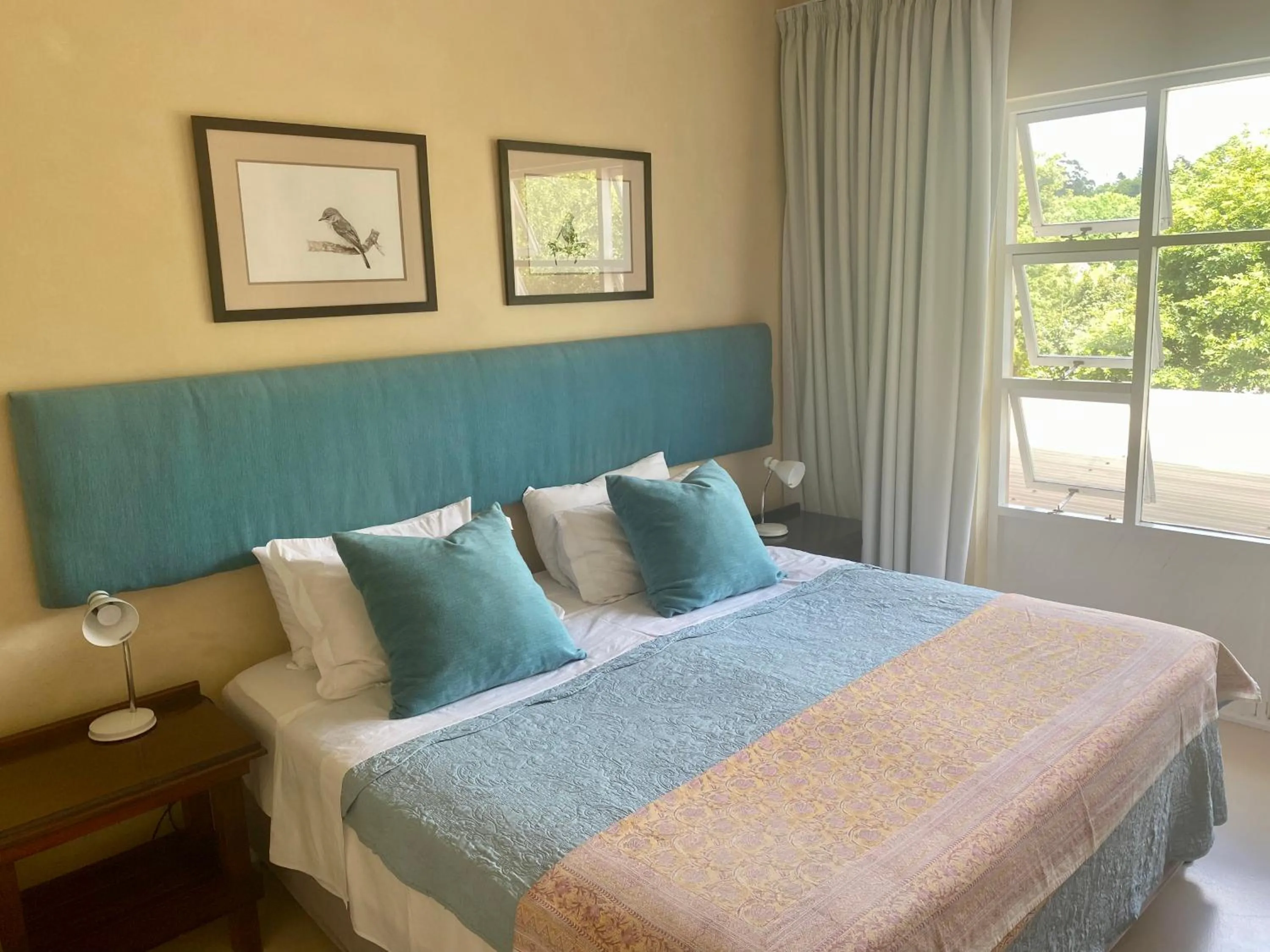Deluxe King Room - single occupancy in The View Swellendam B&B