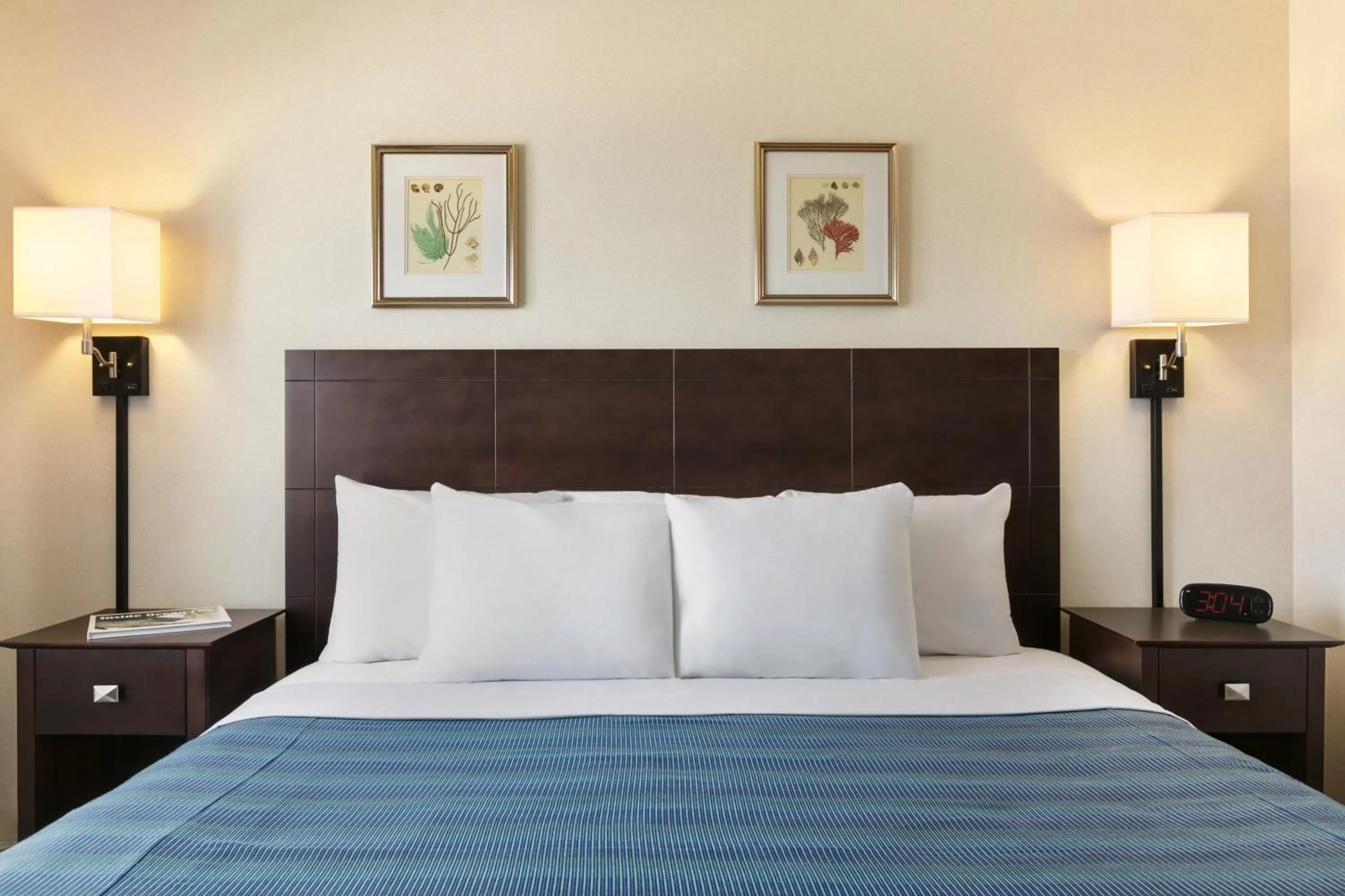 King Room - Limited Ocean View in Harrison Hall Hotel