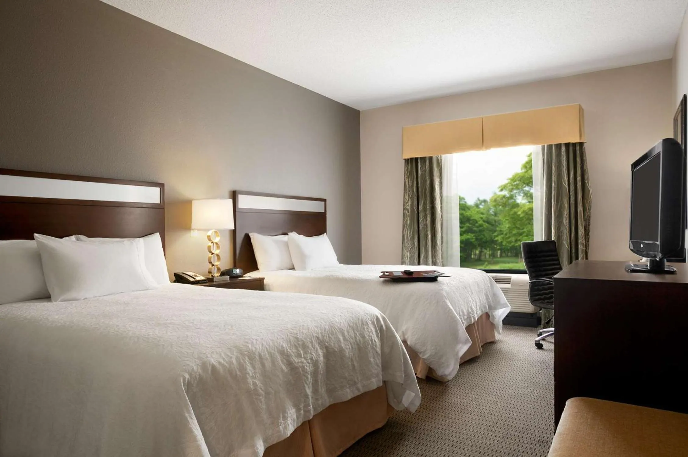 Queen Studio Suite with Two Queen Beds - Non-Smoking in Hampton Inn & Suites - Mansfield