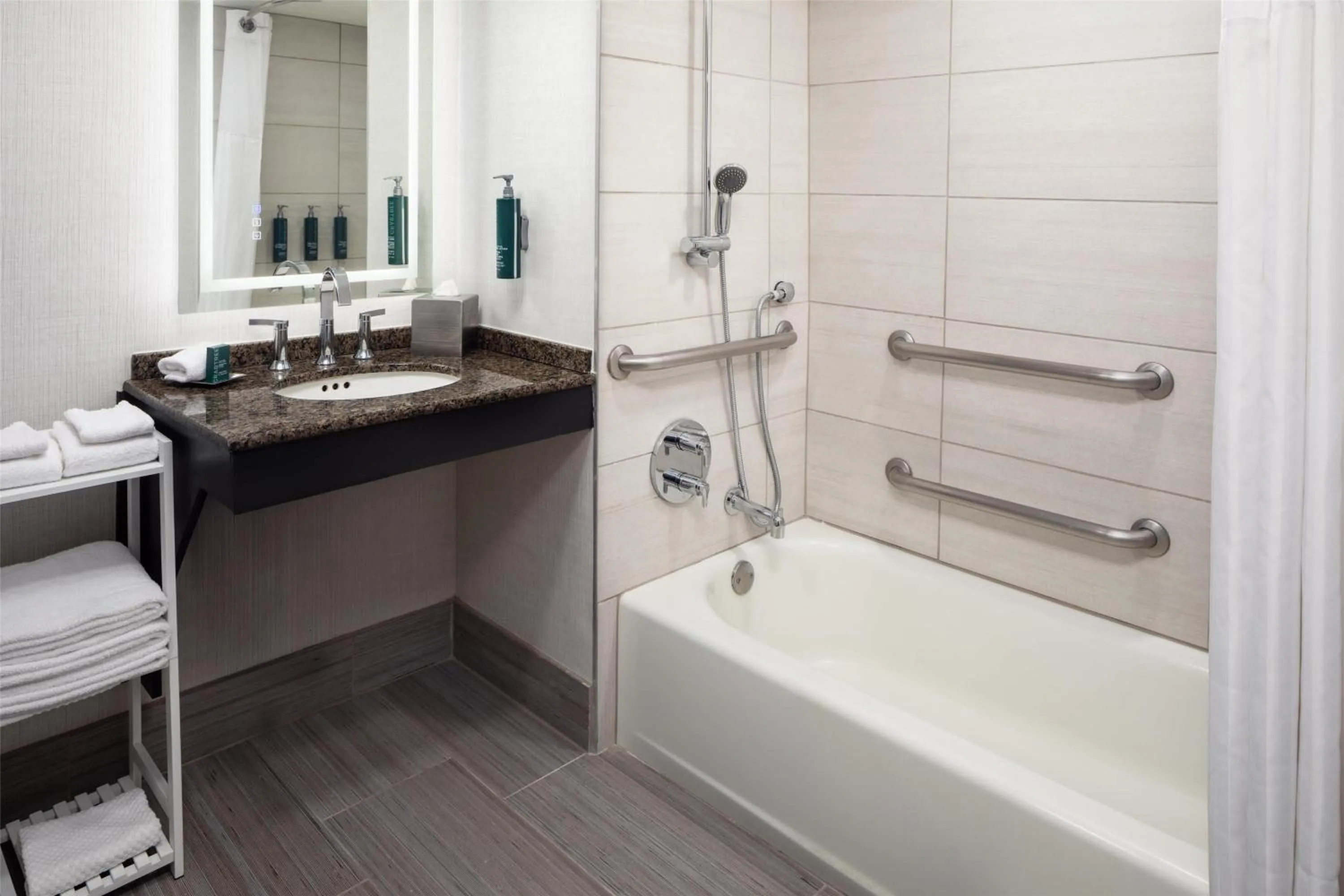 King Room with Bath Tub - Disability Access in Hilton Arlington