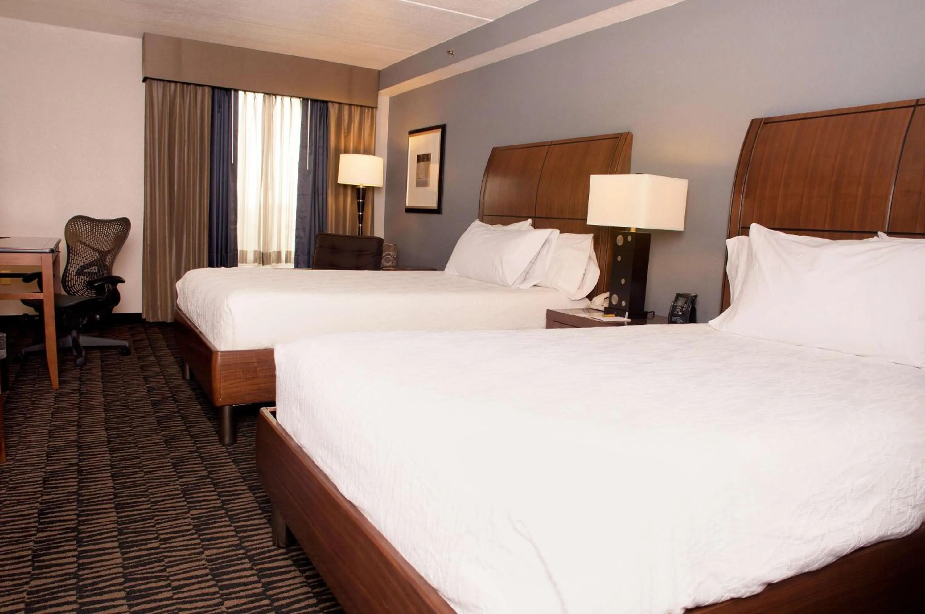 Deluxe Double Room with Two Double Beds in Hilton Garden Inn Austin NorthWest/Arboretum