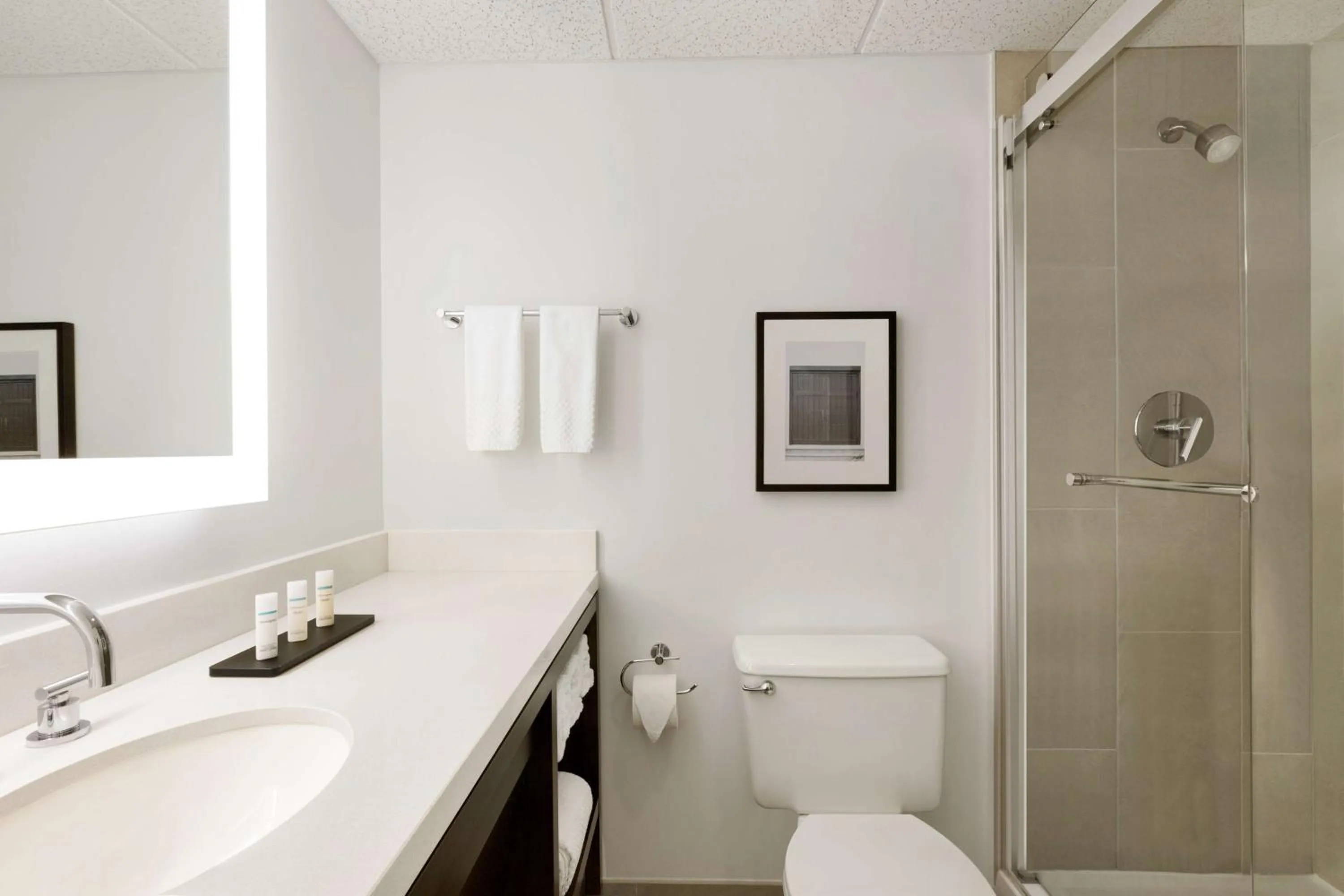 Two-Room Suite with Two Double Beds - Pure Wellness in Embassy Suites Boca Raton