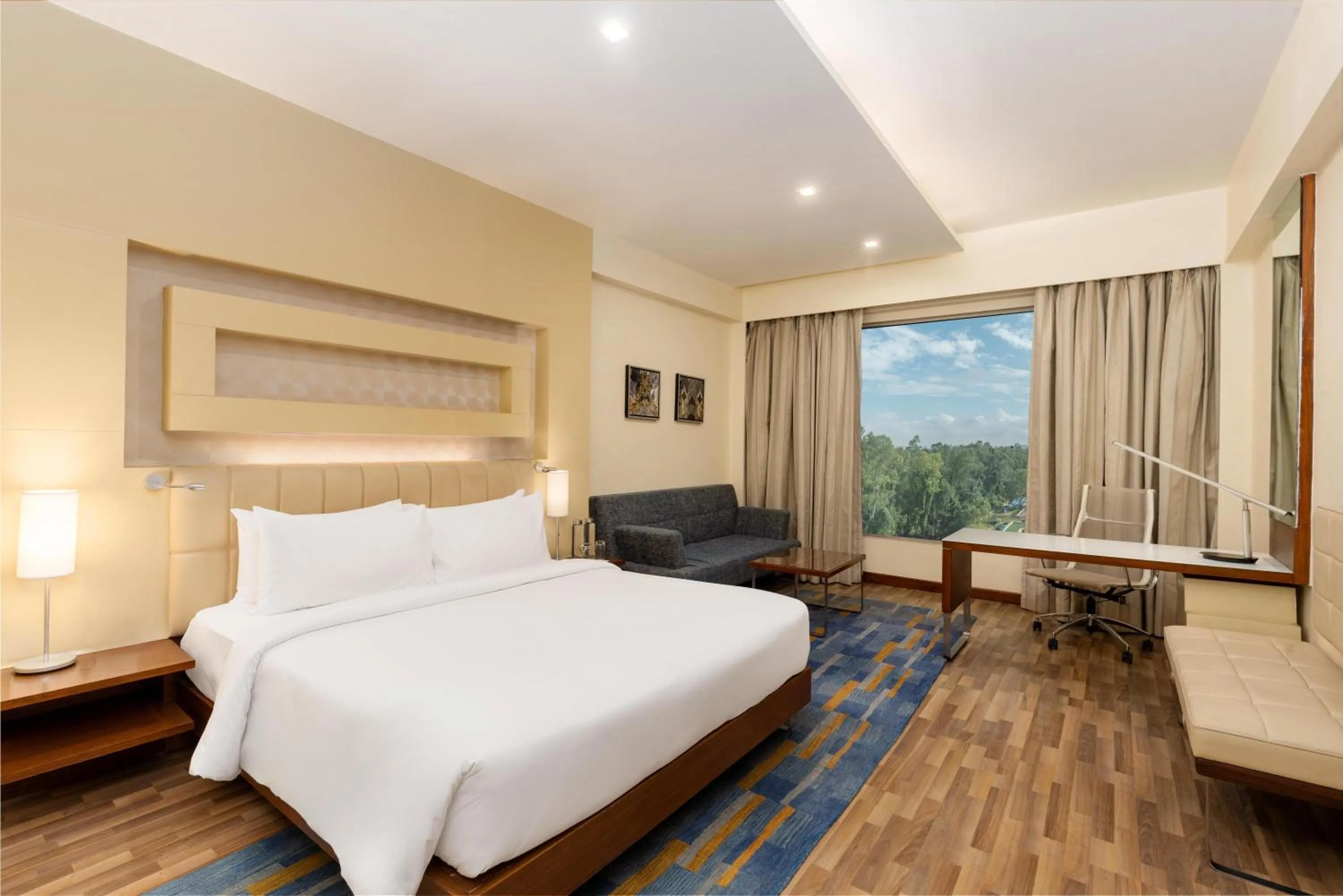 Superior Double or Twin Room in Radisson Blu Hotel, Greater Noida