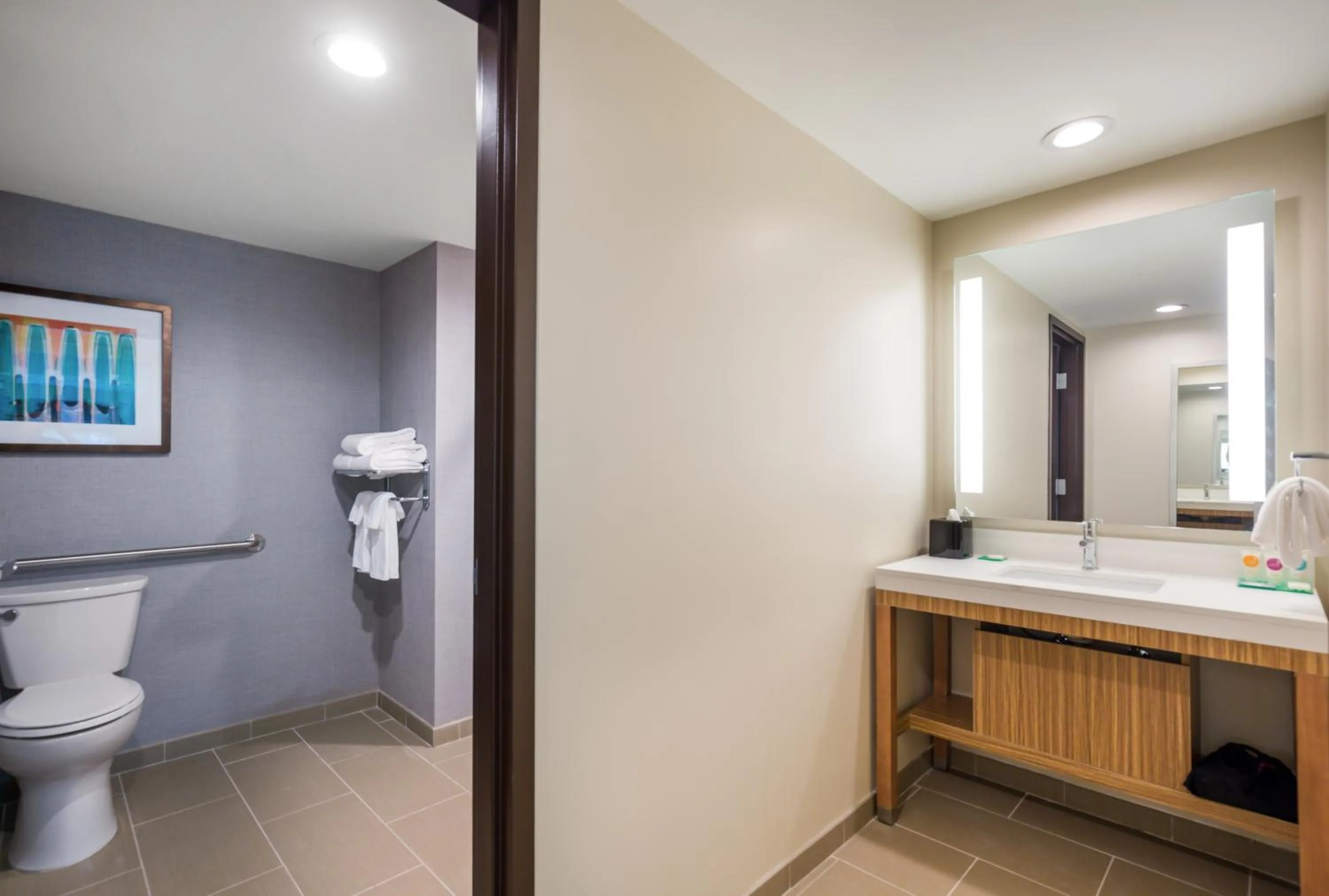 King Room with Roll-In Shower - Disability Access in Hyatt Place Hampton Convention Center