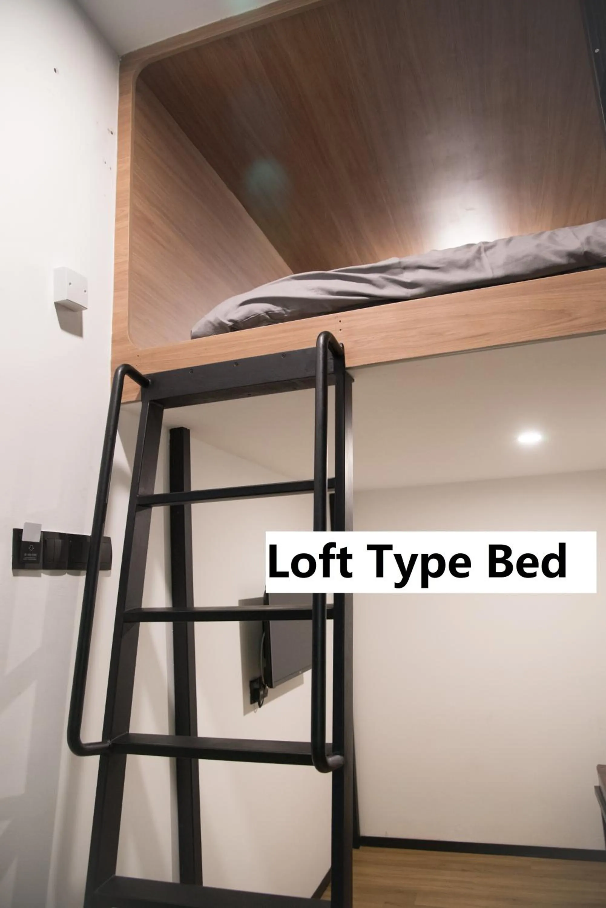 Double Room in Kooning