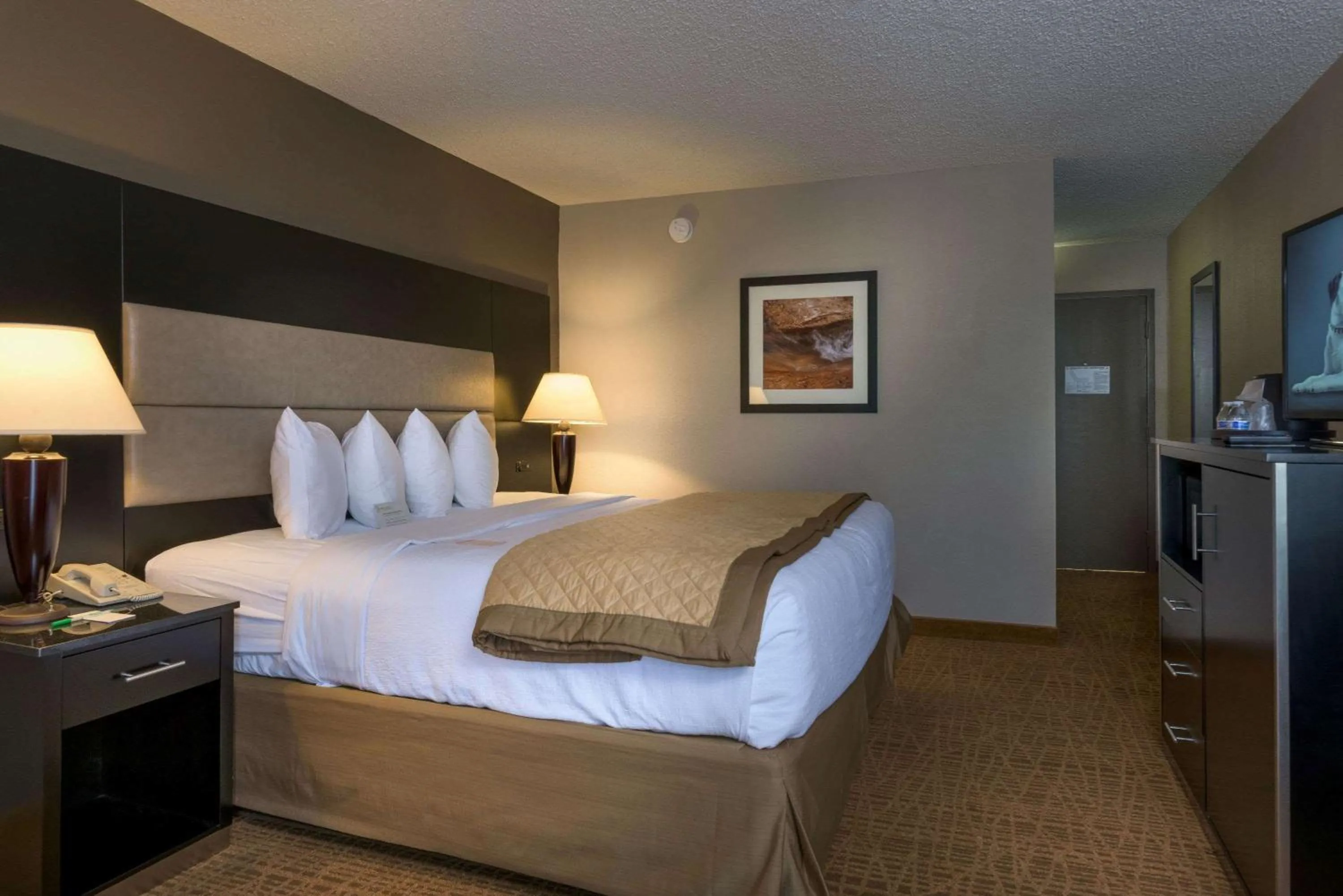 King Room, Mobility Accessible Room, Bathtub w/ Grab Bars, Non-Smoking in Ramada by Wyndham Boise