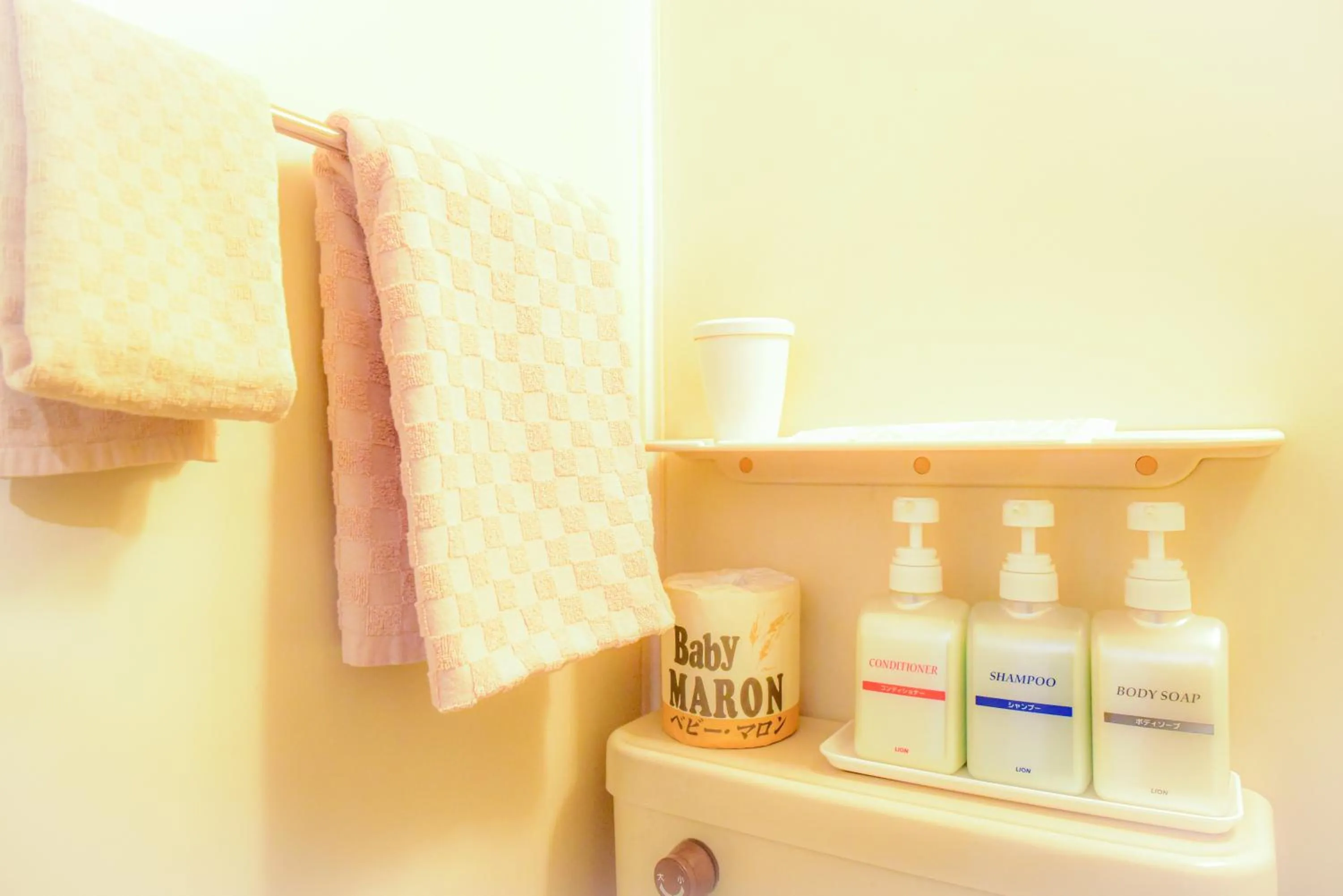 Single Room in Kamata Inn Social