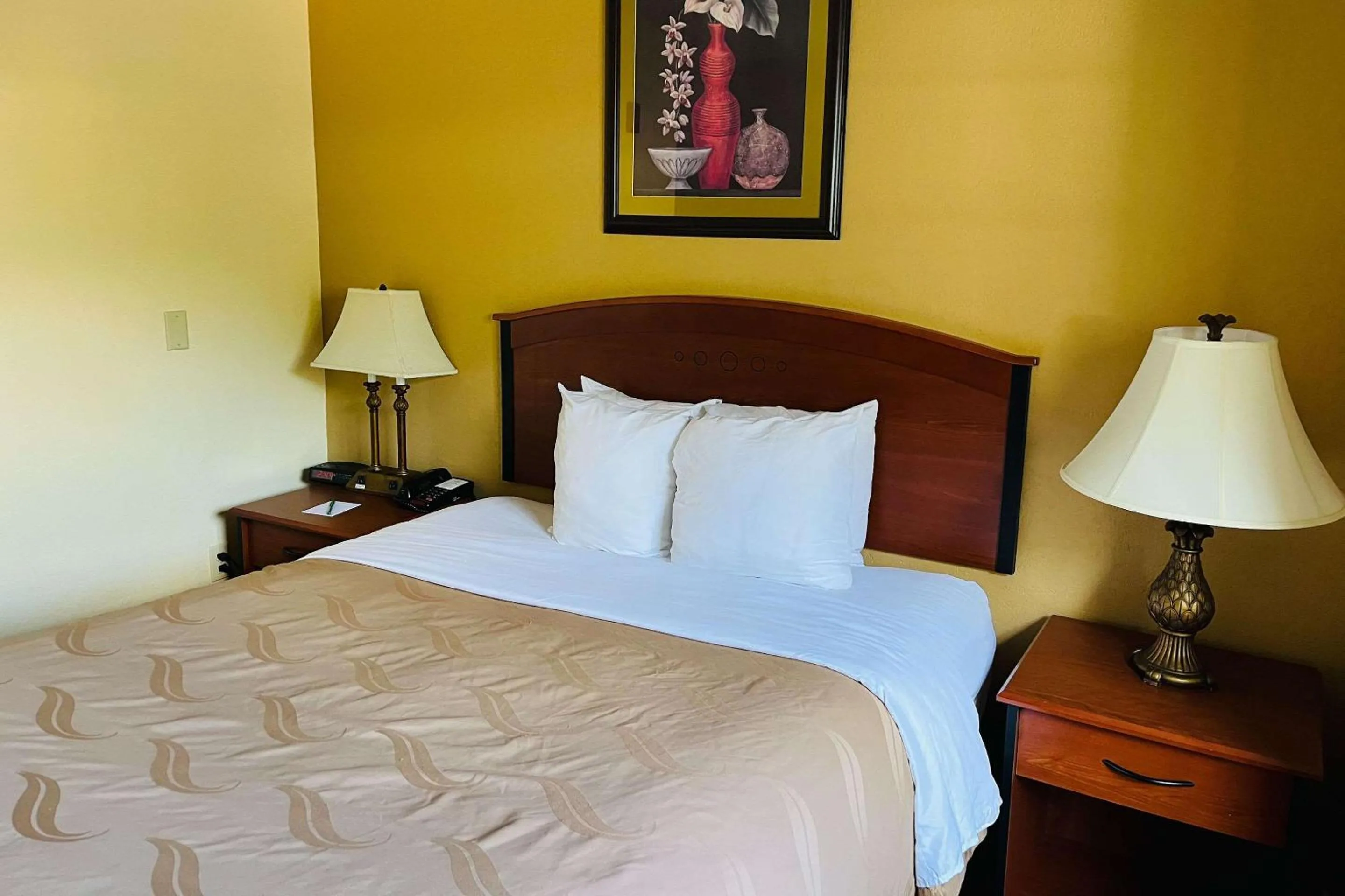 Queen Room - Non-Smoking in Quality Inn & Suites Prestonsburg next to Mountain Arts Center