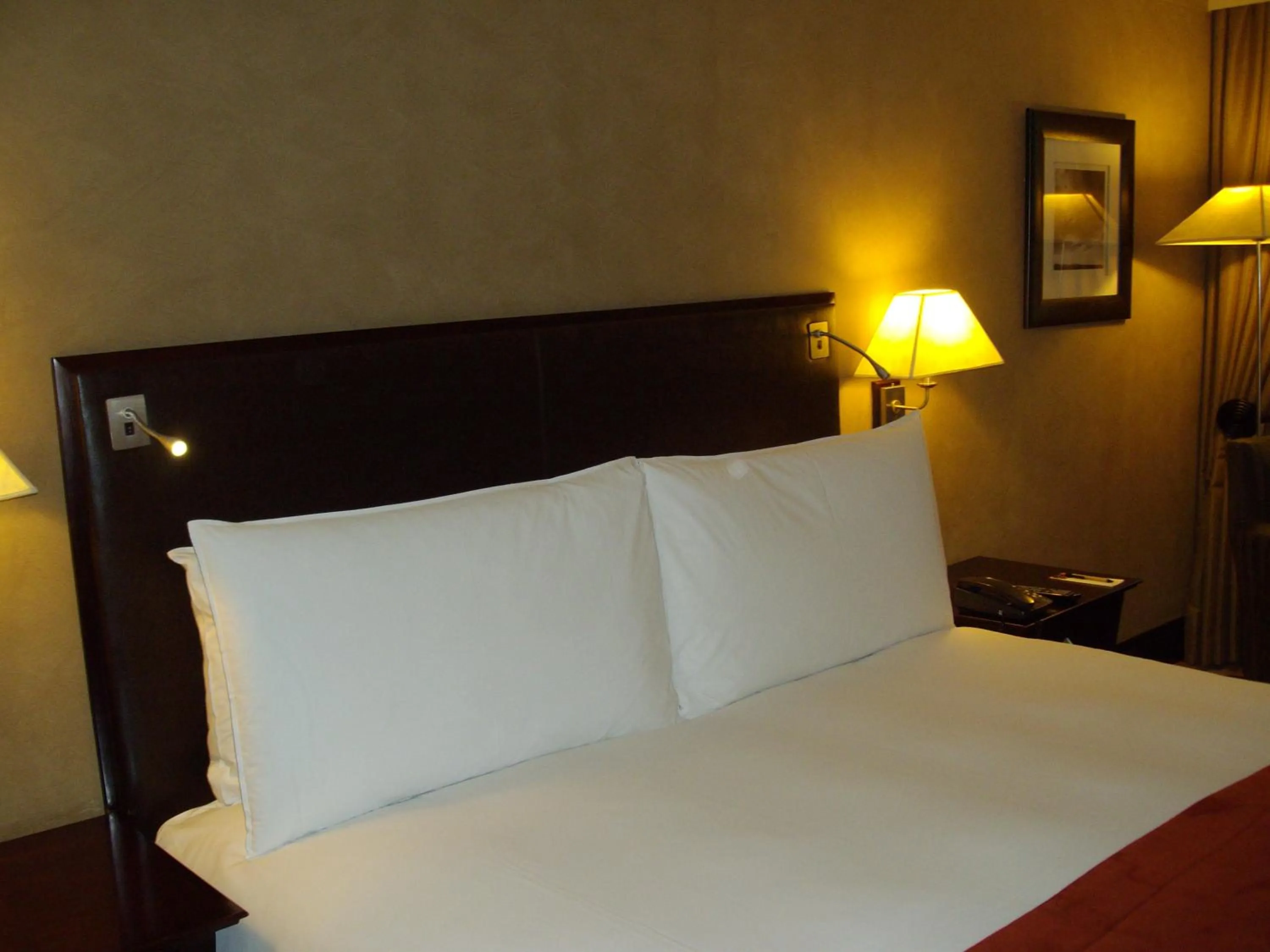 Standard King Room Non-Smoking in Southern Sun OR Tambo International Airport