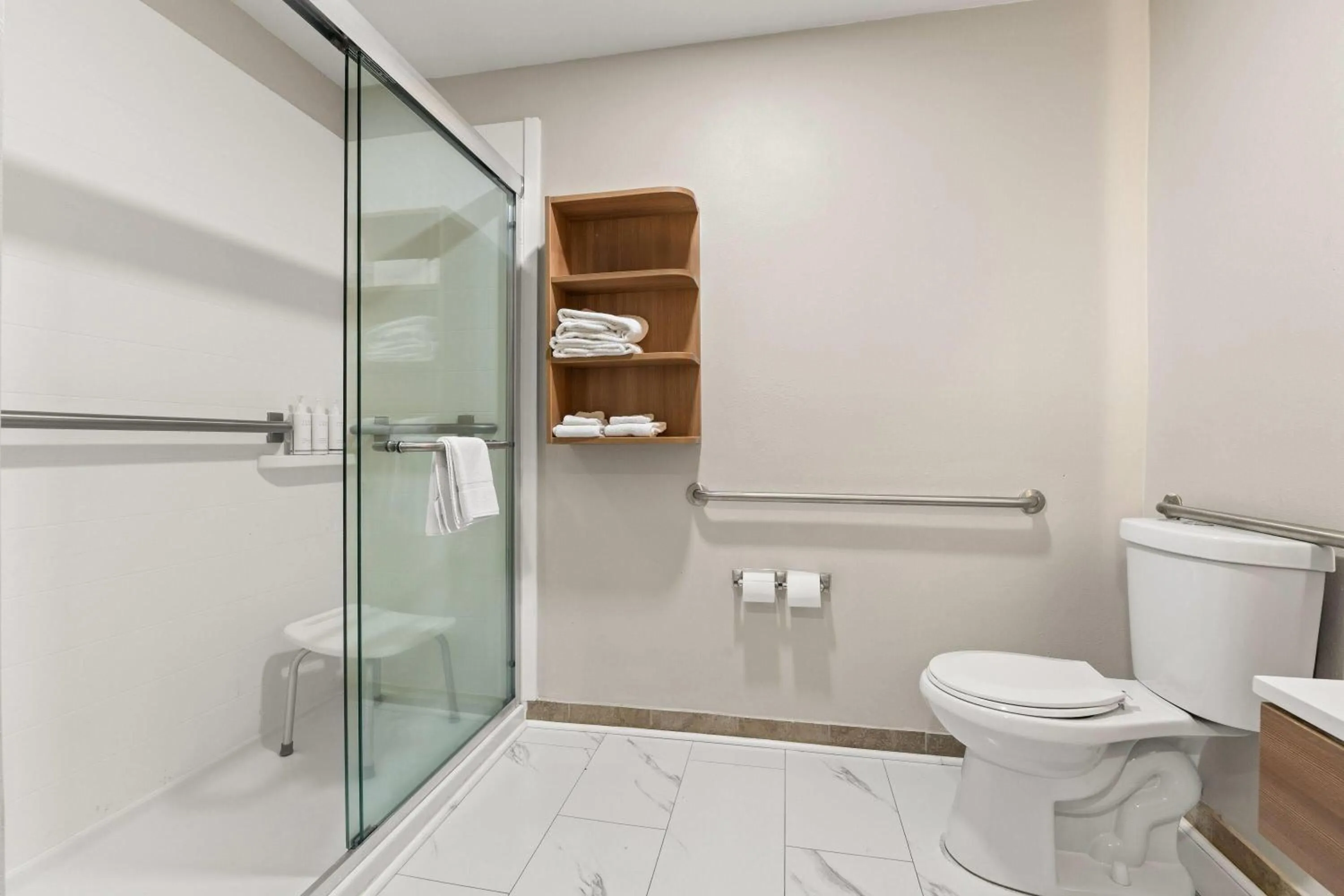 King Suite with Roll-In Shower - Mobility Accessible/Non-Smoking in Microtel Inn and Suites - Salisbury
