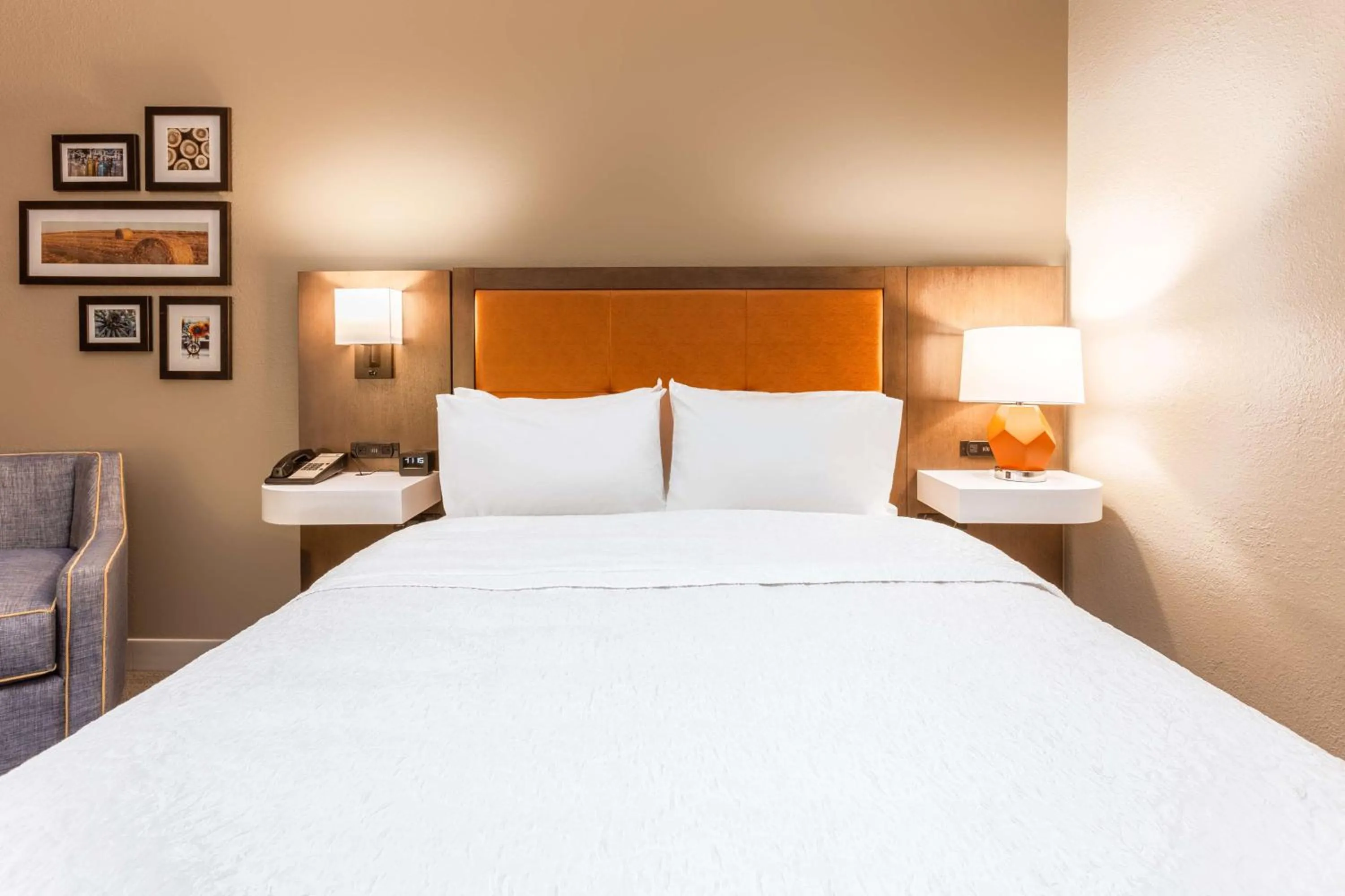 King Room with King Bed - Non-Smoking in Hampton Inn Cedar Rapids