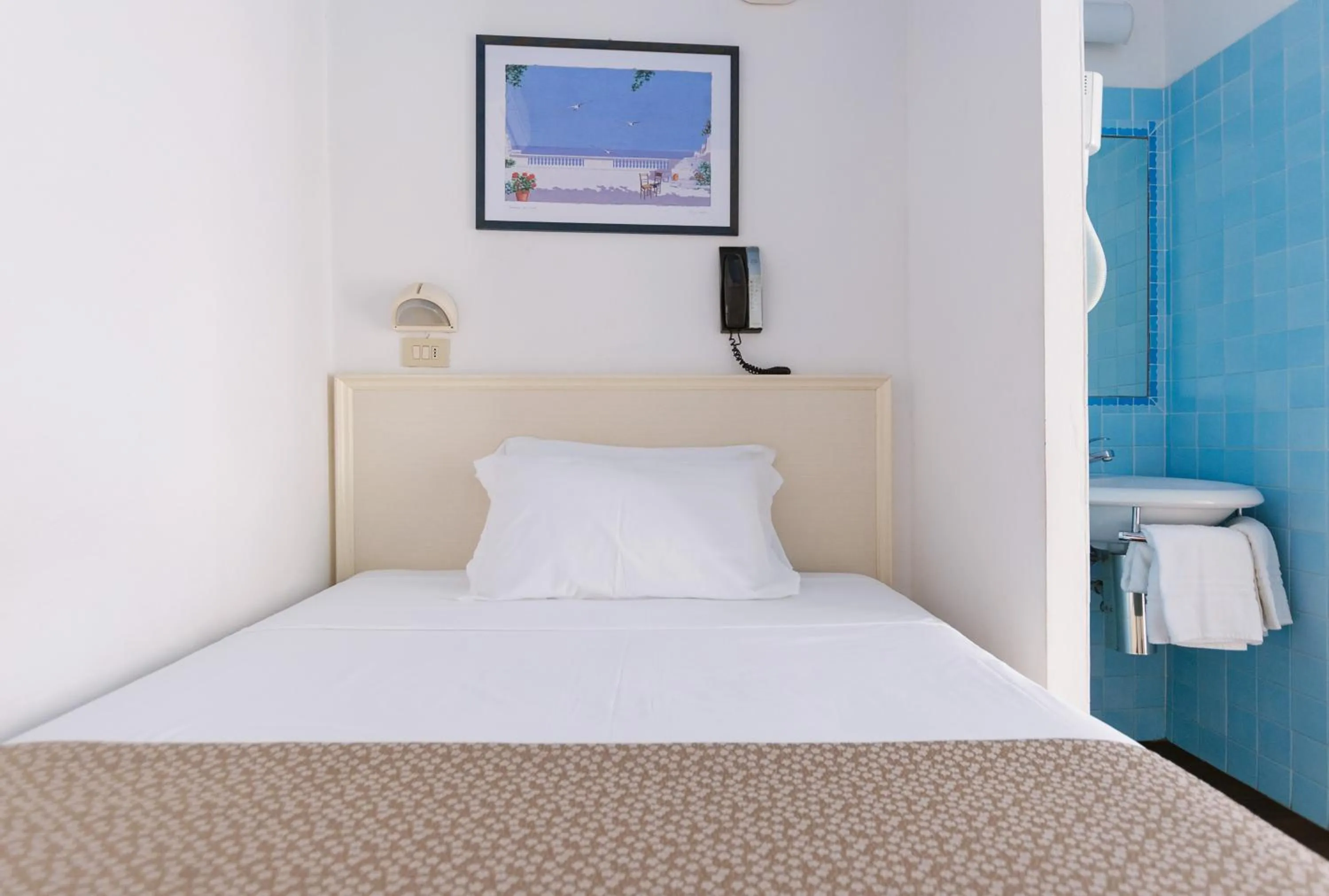 Standard Double Room - single occupancy in Hotel Fra I Pini