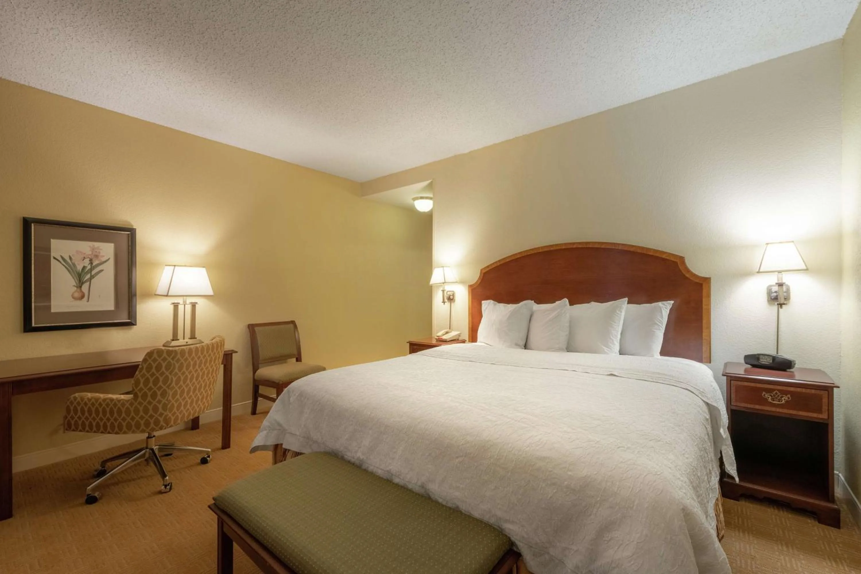 Executive King Room - Non-Smoking in Hampton Inn & Suites - Vicksburg