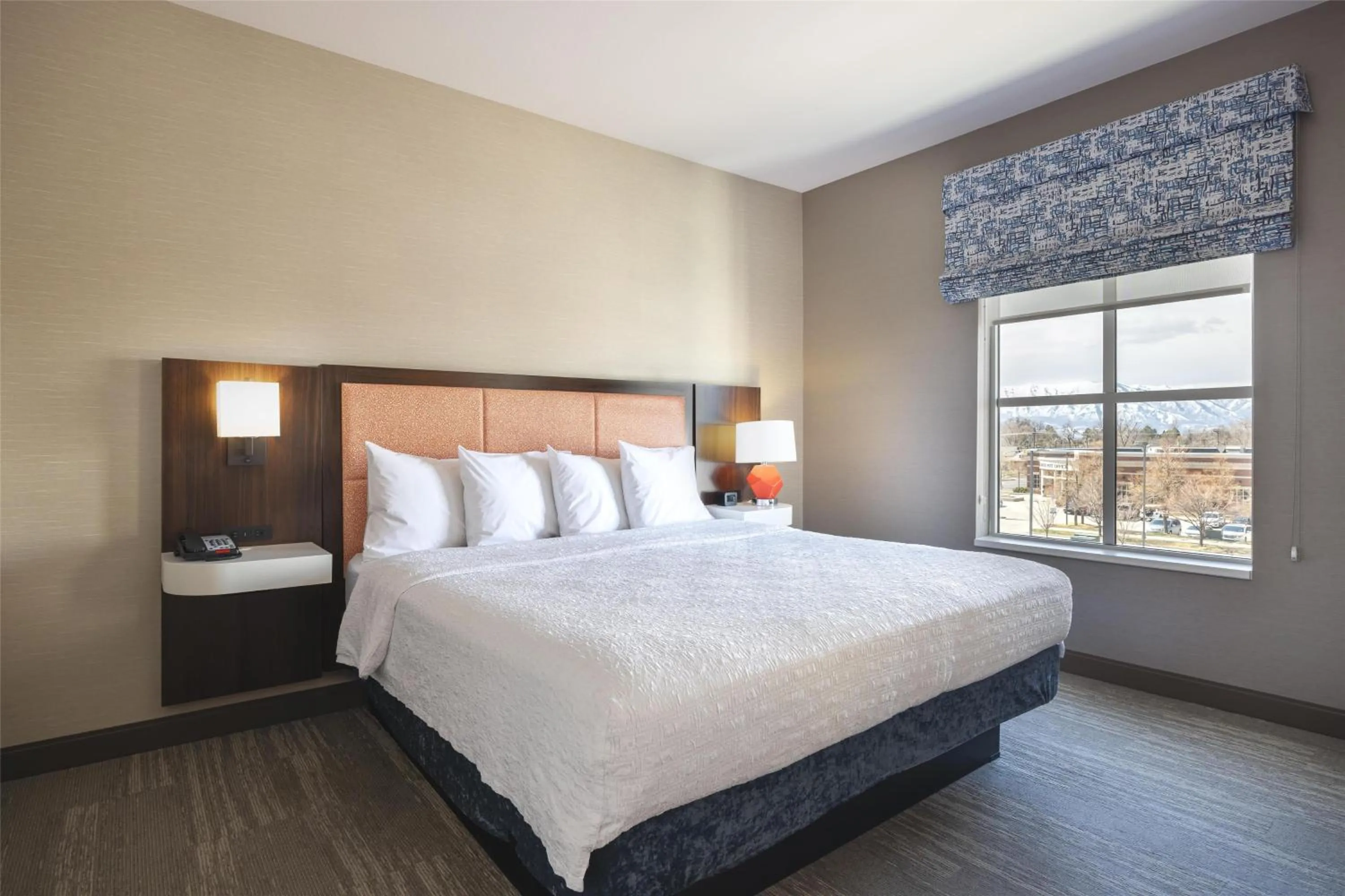 King Room in Hampton Inn And Suites Logan, Ut