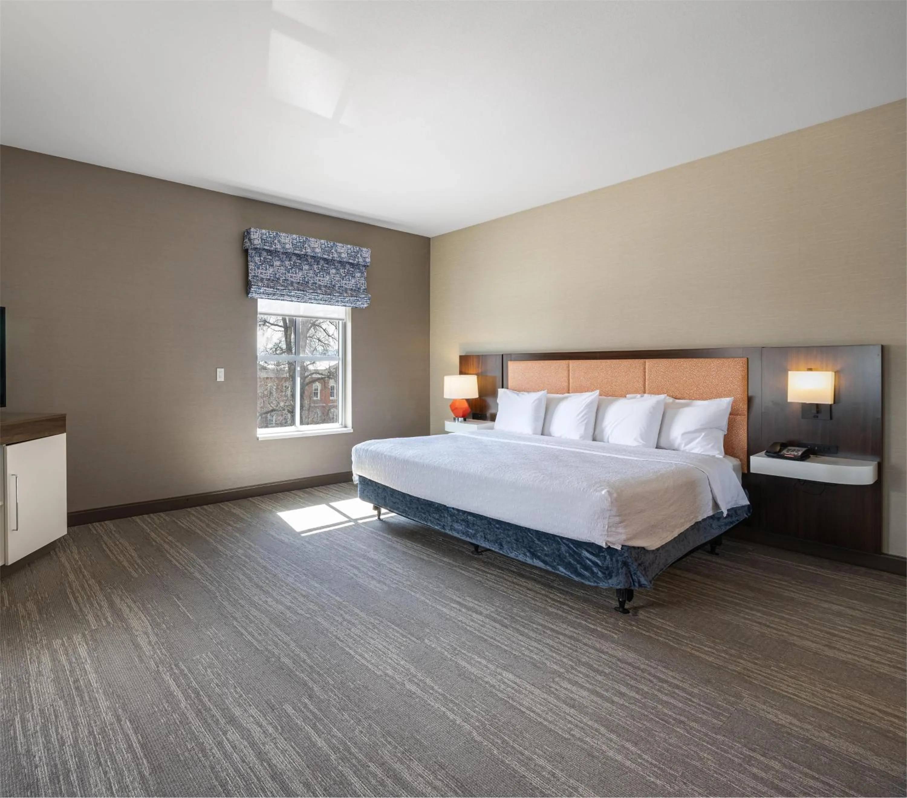 King Suite with Shower - Mobility Accessible/Non-Smoking in Hampton Inn And Suites Logan, Ut