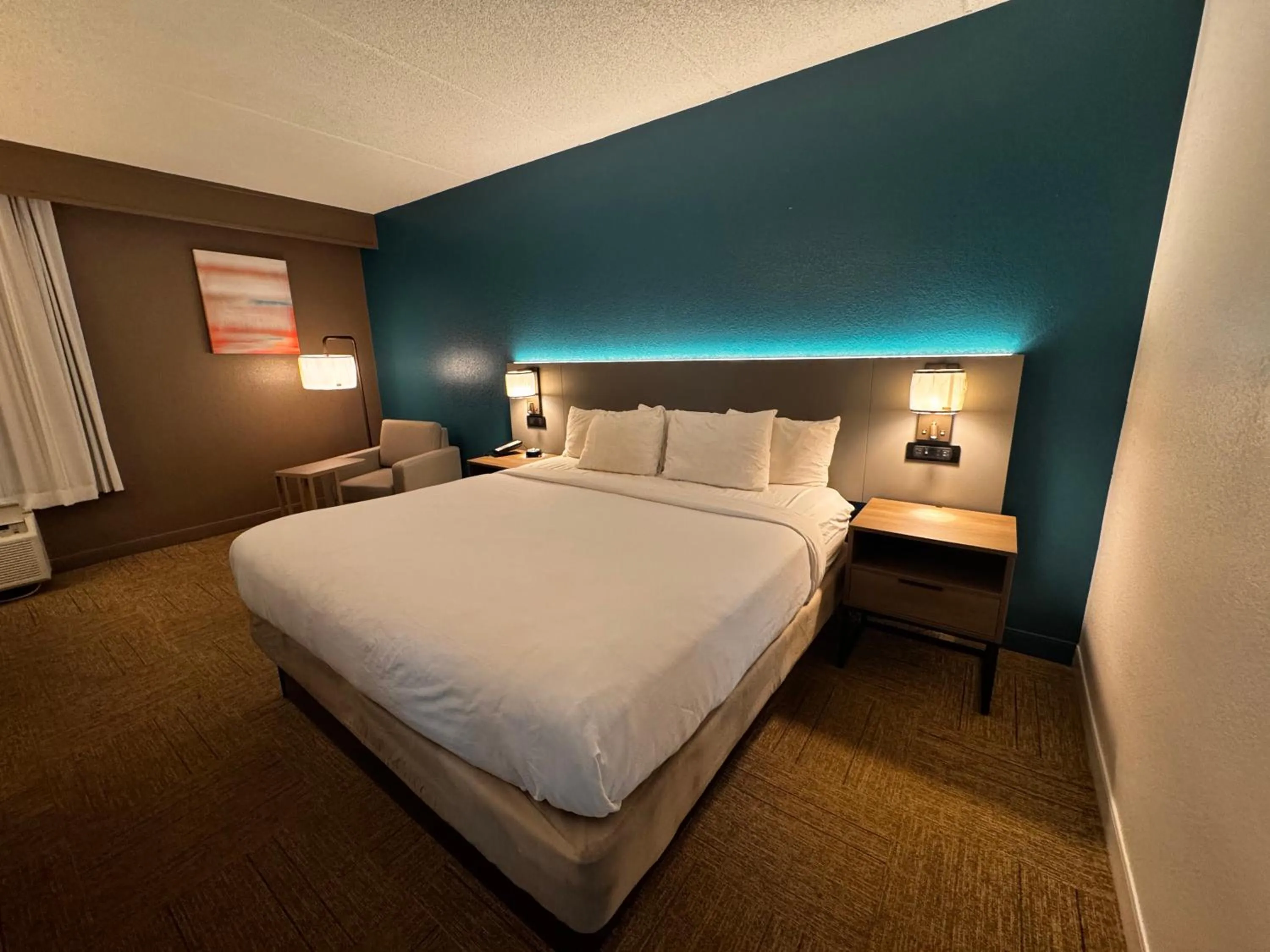 Standard King Room - Non Smoking in Comfort Inn Darien - North Brunswick