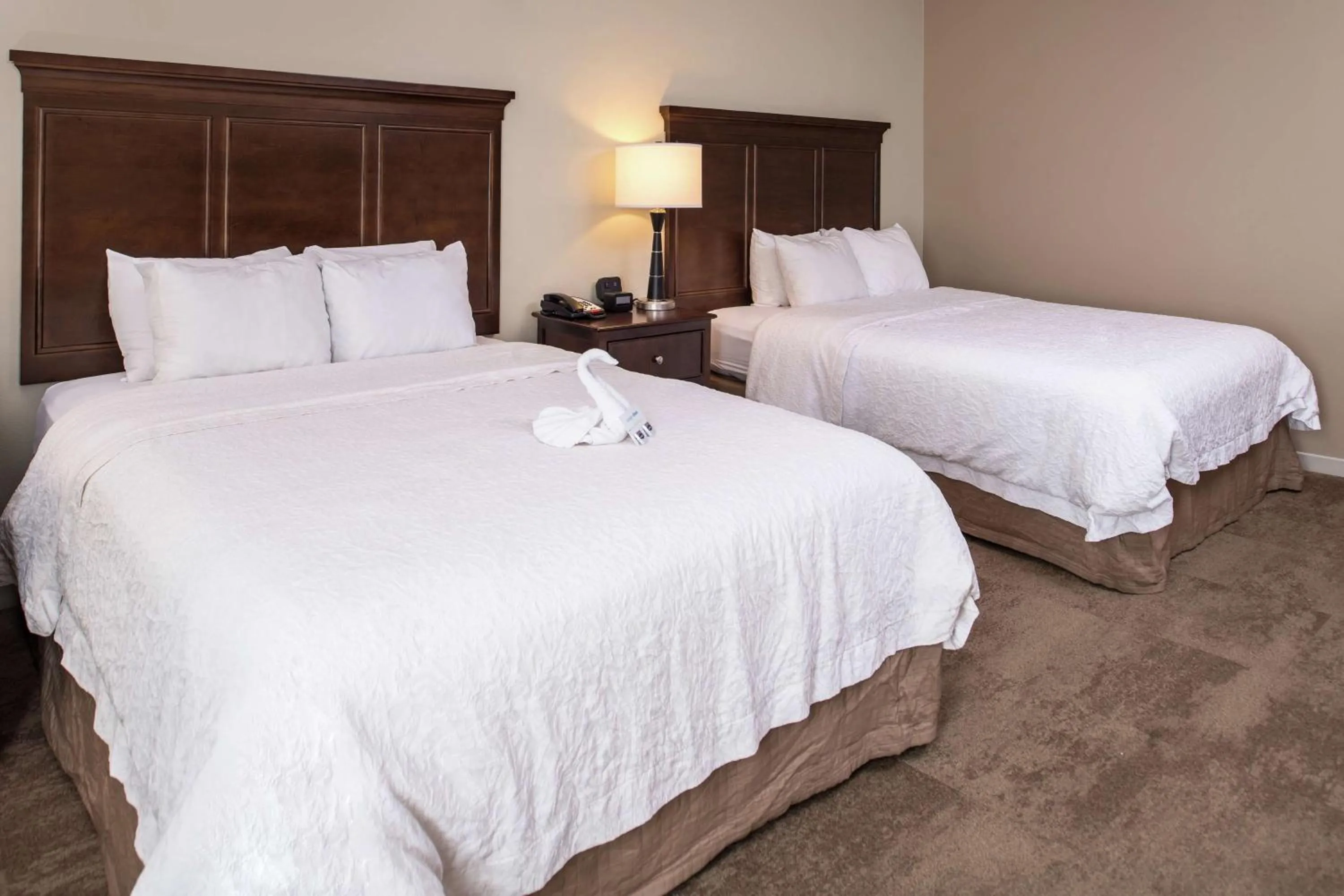 Queen Room with Two Queen Beds - Mobility Access/Non-Smoking in Hampton Inn & Suites Charlotte Arrowood Rd