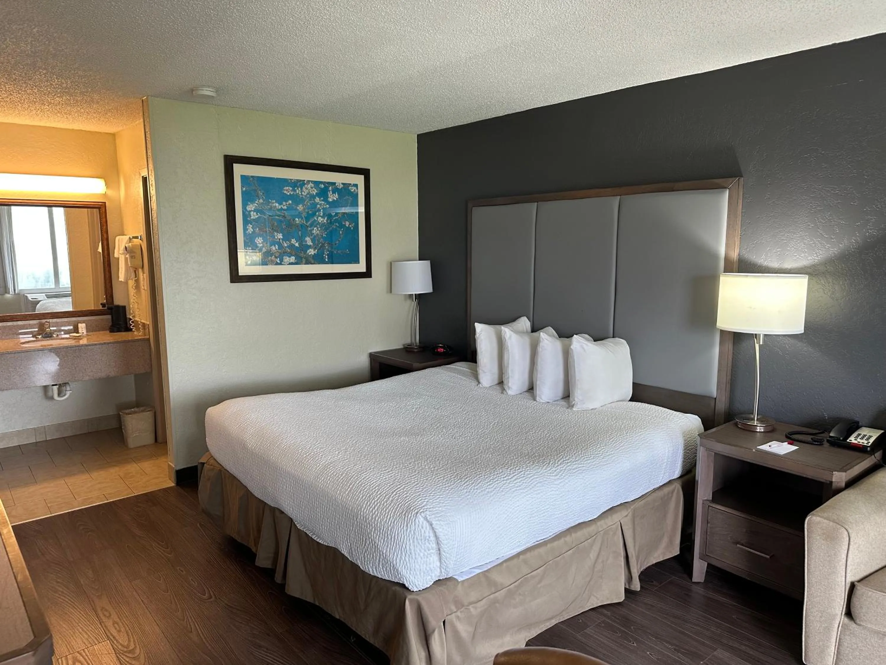 1 King Bed, First Floor, Non-Smoking Room in Ramada by Wyndham Houma