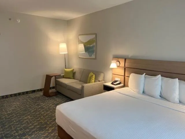 King Room - Disability Access/Bath Tub in Best Western Wesley Chapel