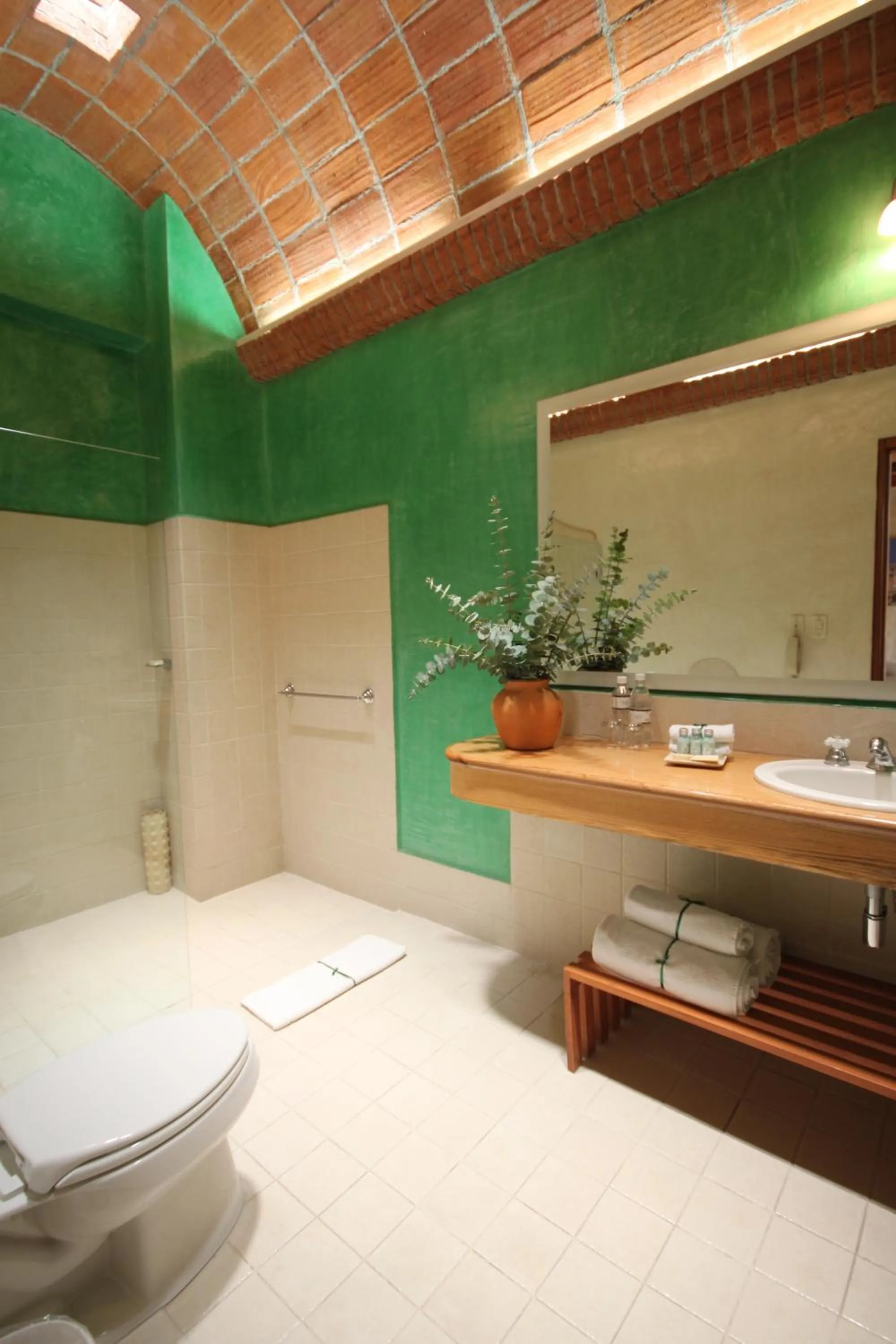 Superior Double Room with Terrace in Hotel Boutique Casa Catrina