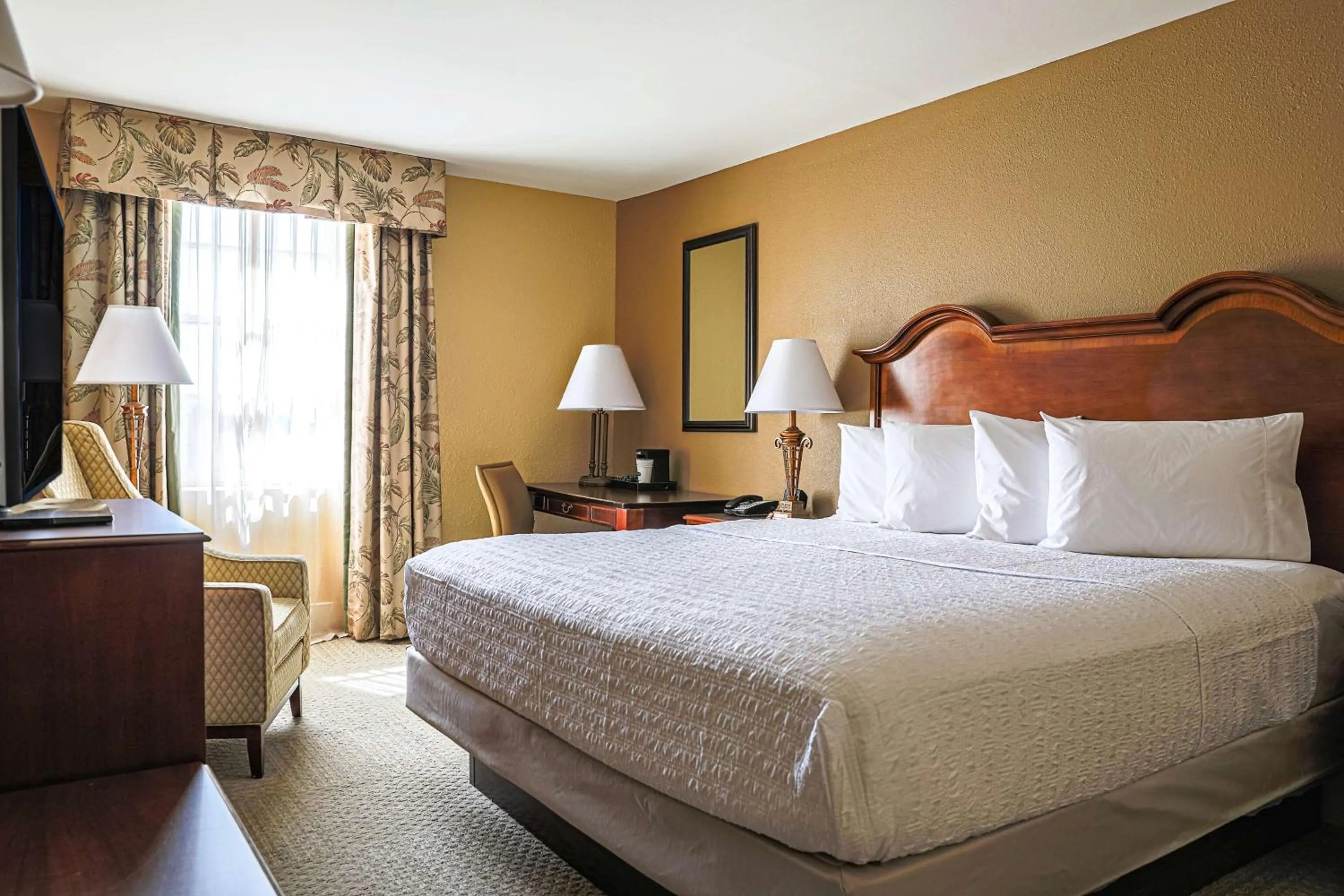 King Room with King Bed - Non-Smoking in Hampton Inn Charleston-Historic District