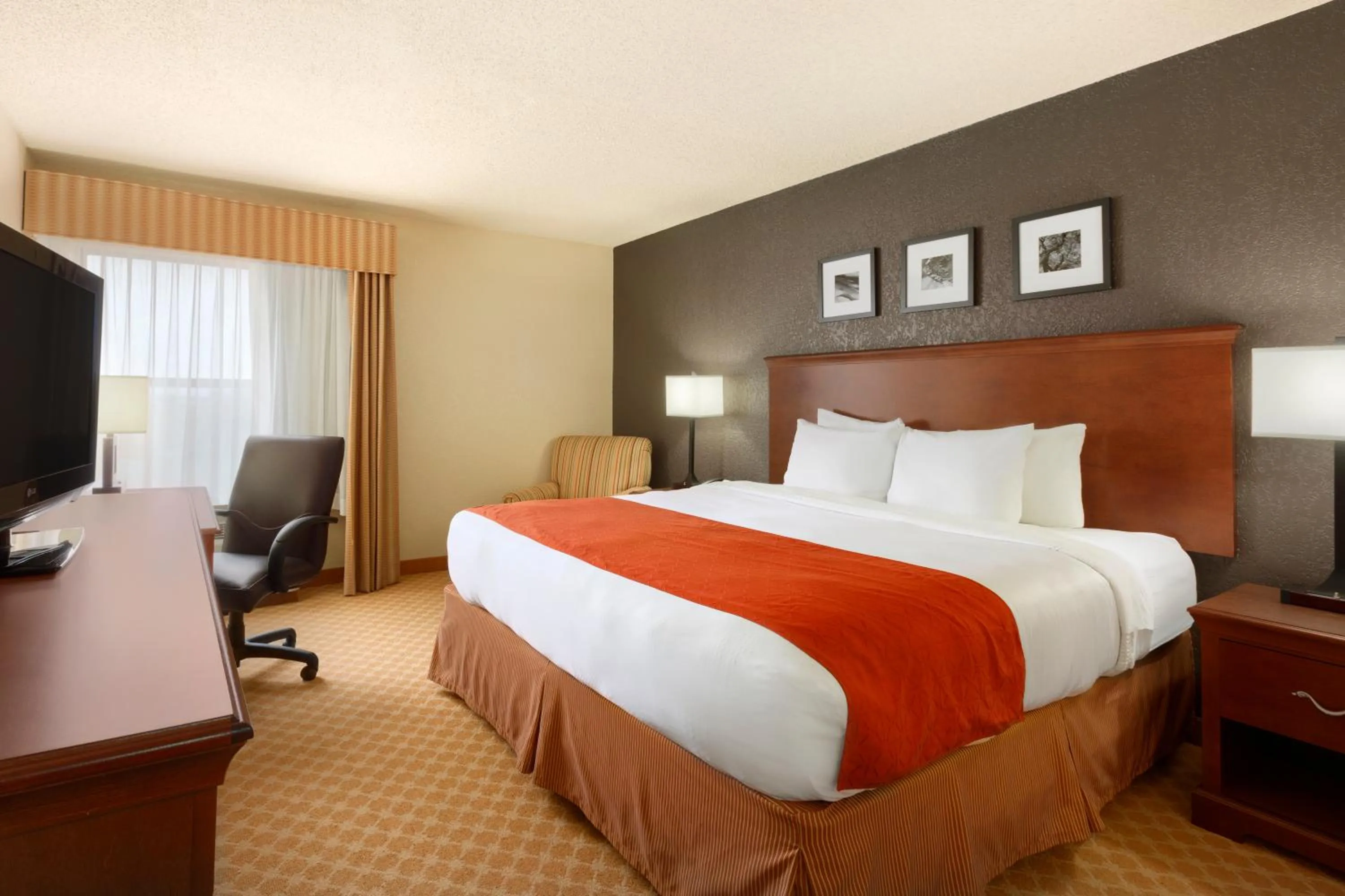 King Room with Roll-in Shower - Disability Access/Non-Smoking in Spark By Hilton Corpus Christi Southeast