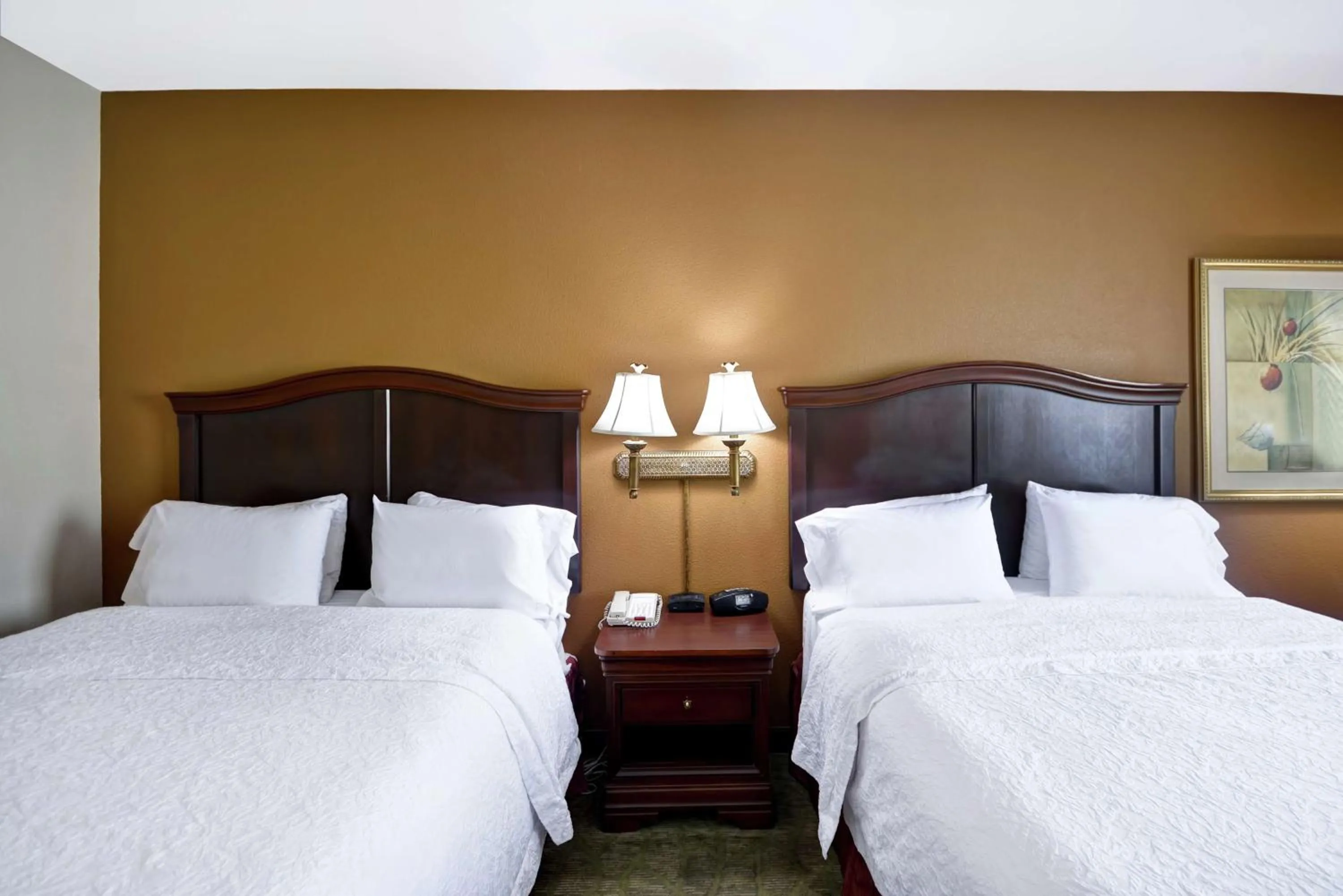 Queen Room with Two Queen Beds - Mobility and Hearing Access/Non-Smoking in Hampton Inn Corpus Christi - Northwest I-37