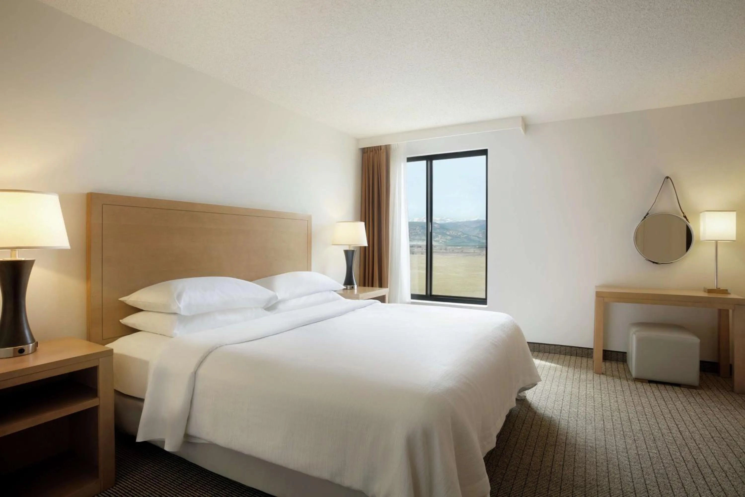 Premium King Suite - Non-Smoking in Embassy Suites by Hilton Denver International Airport