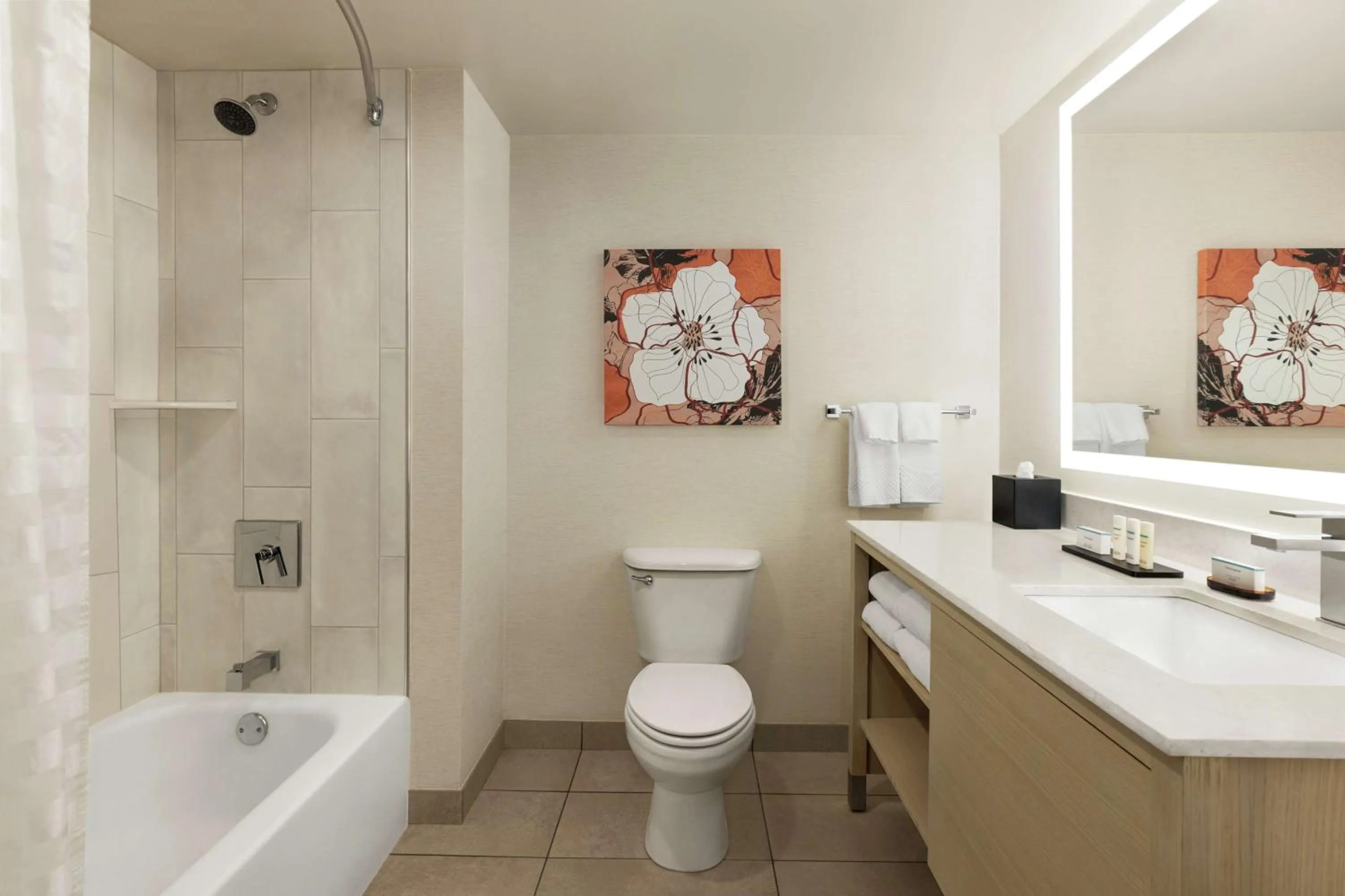 One-Bedroom King Suite - Hearing Access/Non-Smoking in Embassy Suites by Hilton Denver International Airport