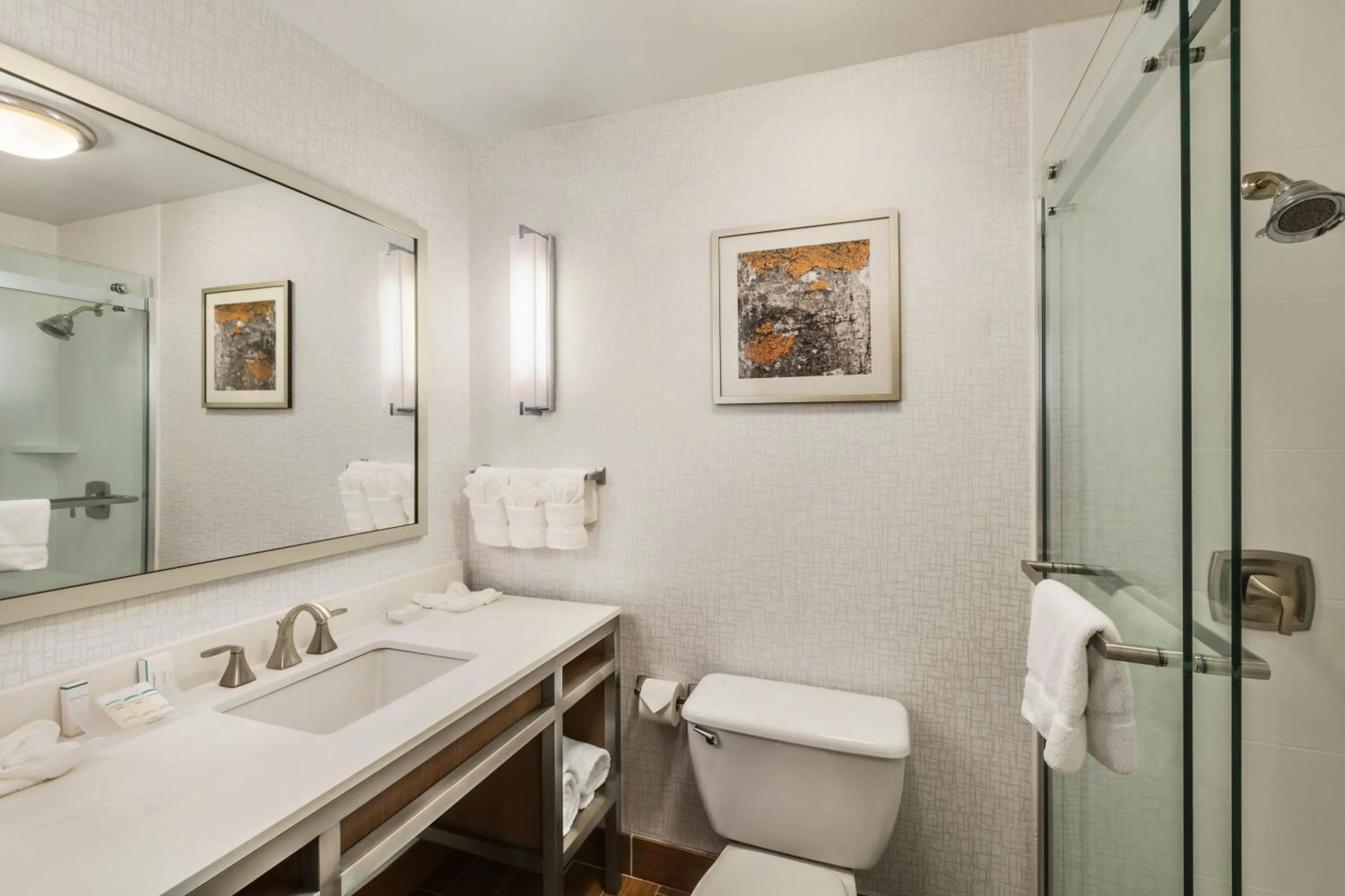 King Room in Hilton Garden Inn Flagstaff