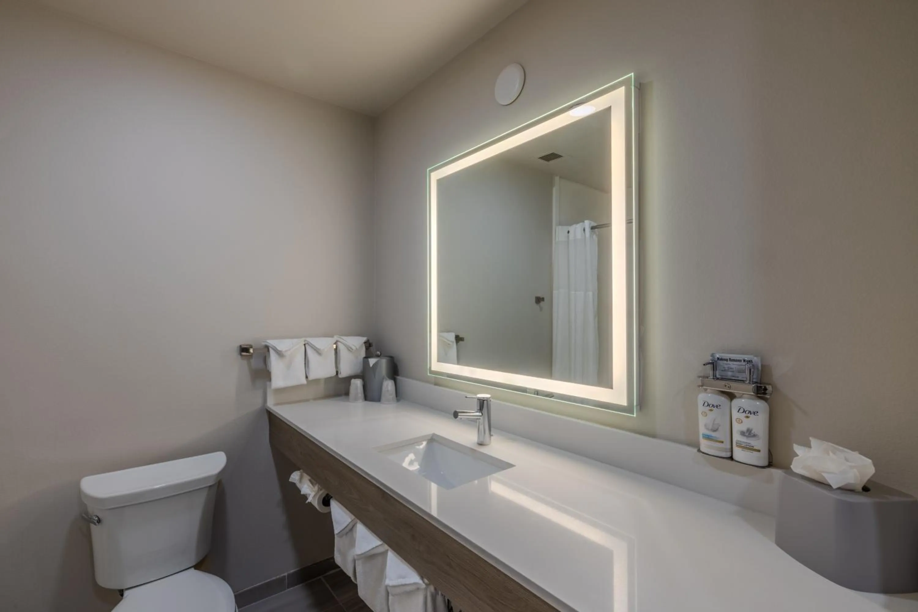 Standard King Room in Holiday Inn Express & Suites Denver North - Thornton by IHG