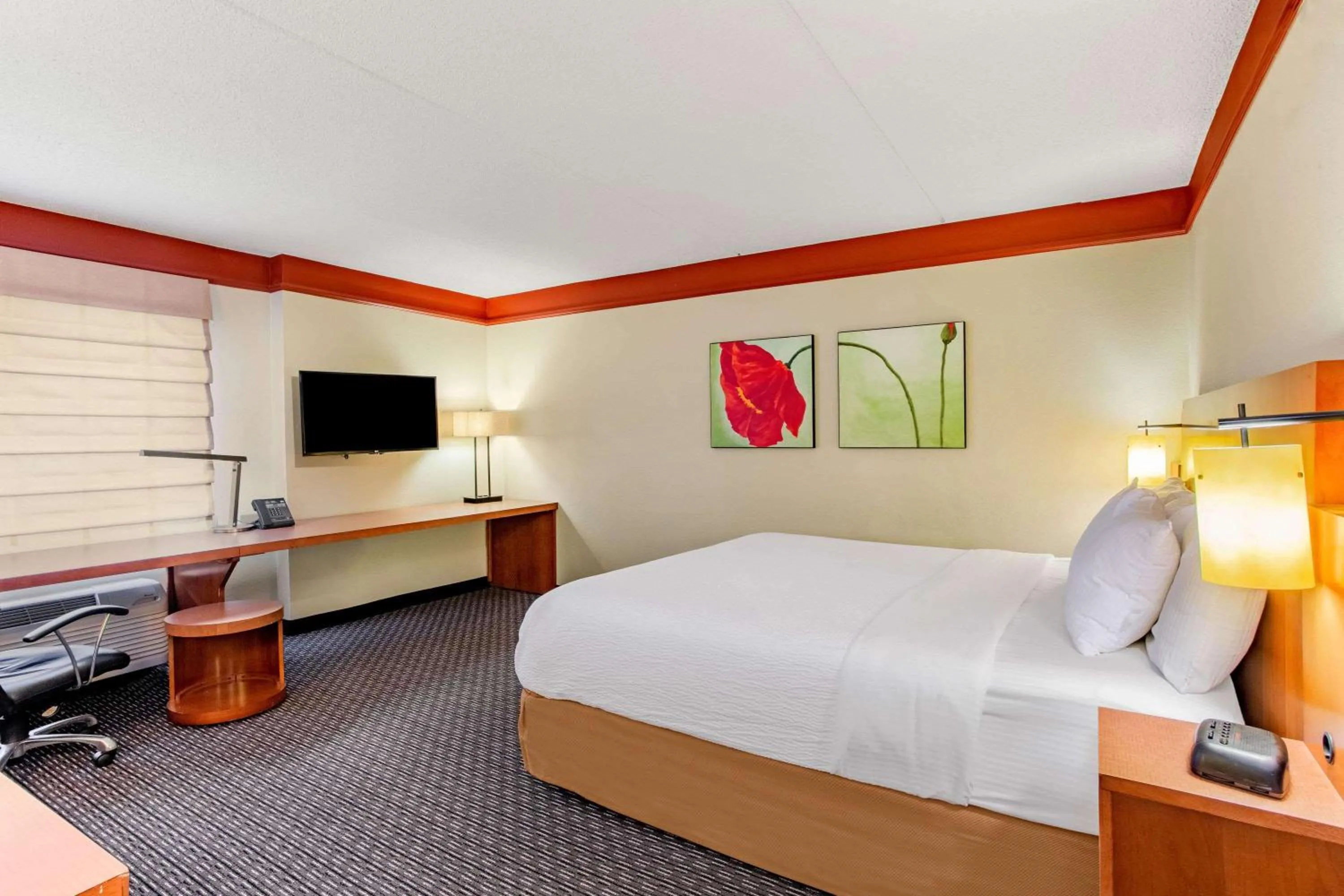 Deluxe King Room - Non-Smoking in La Quinta by Wyndham Raleigh/Durham Southpoint