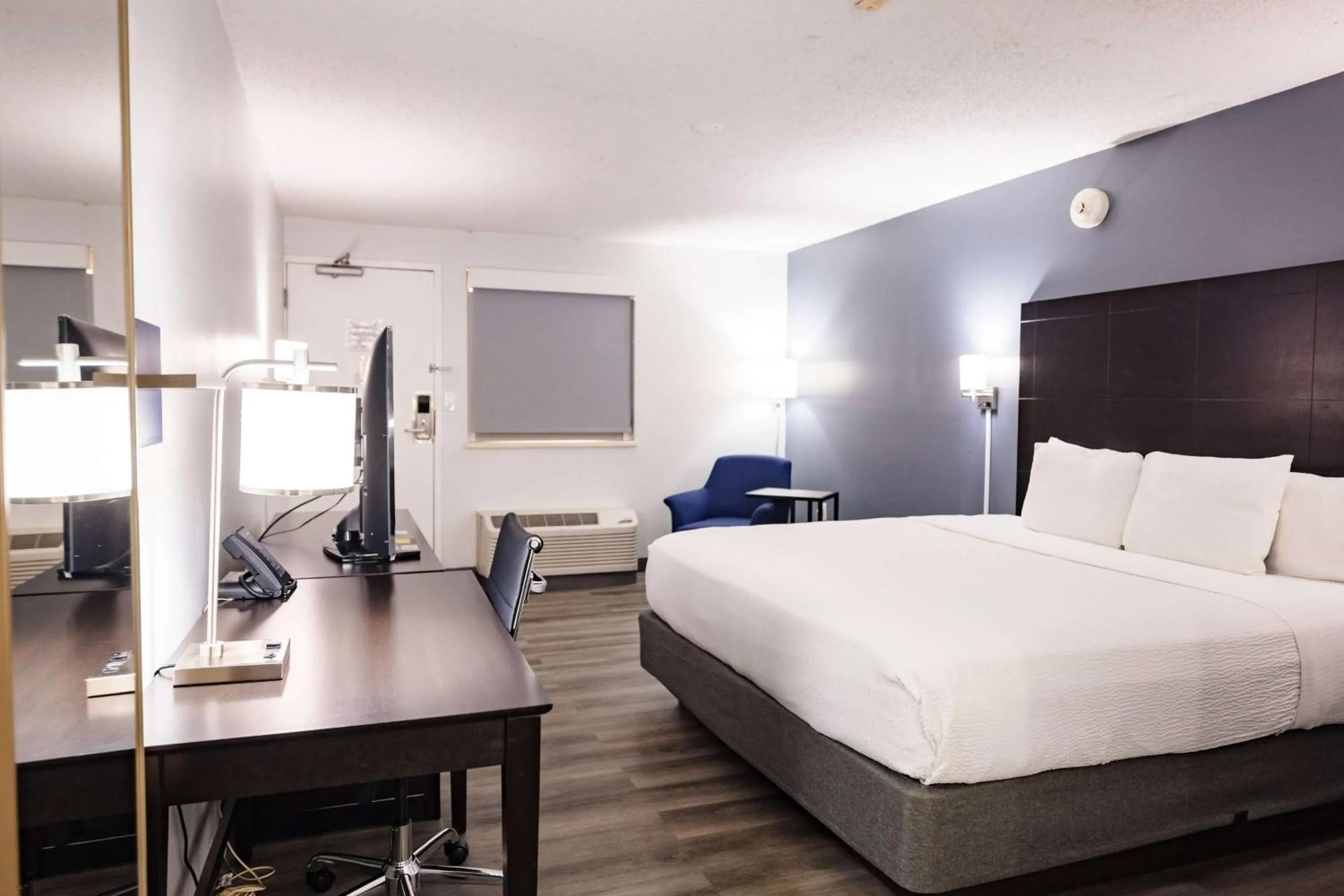 Deluxe King Room - Non-Smoking in La Quinta Inn by Wyndham Tampa Near Busch Gardens