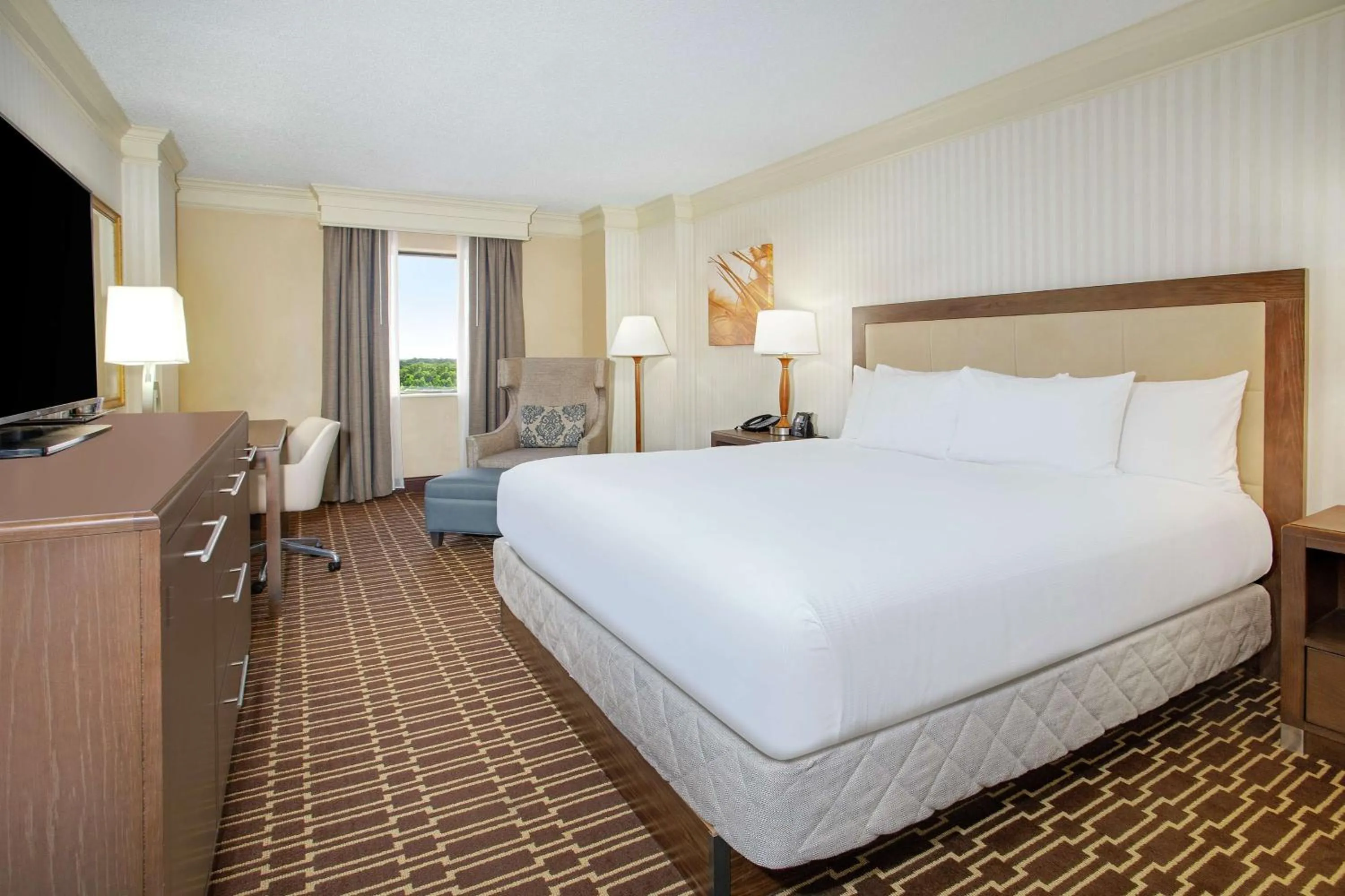 King Room in Hilton Jackson