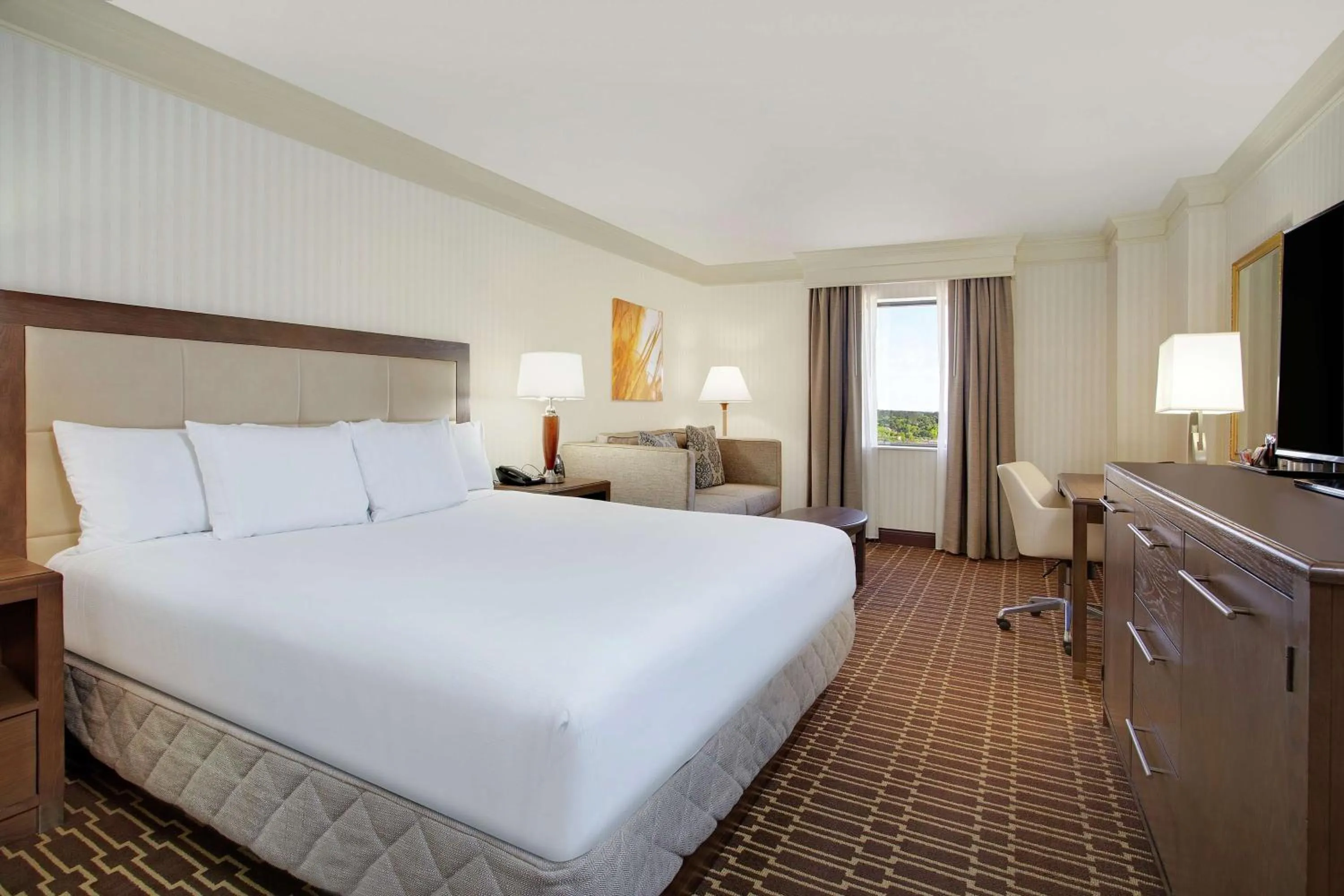 King Room with Roll-In Shower and City View - Mobility Access in Hilton Jackson