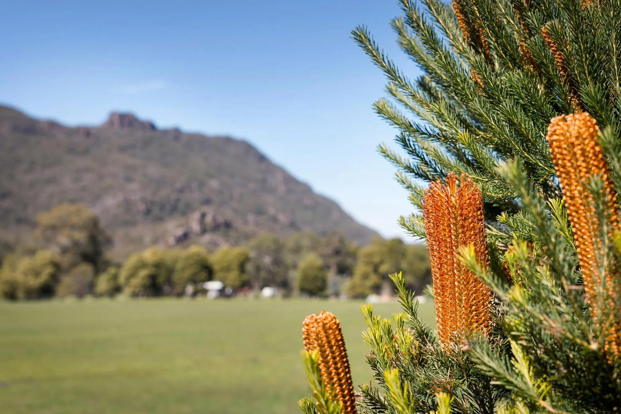 Twin Room - Disability Access in Kookaburra Motor Lodge