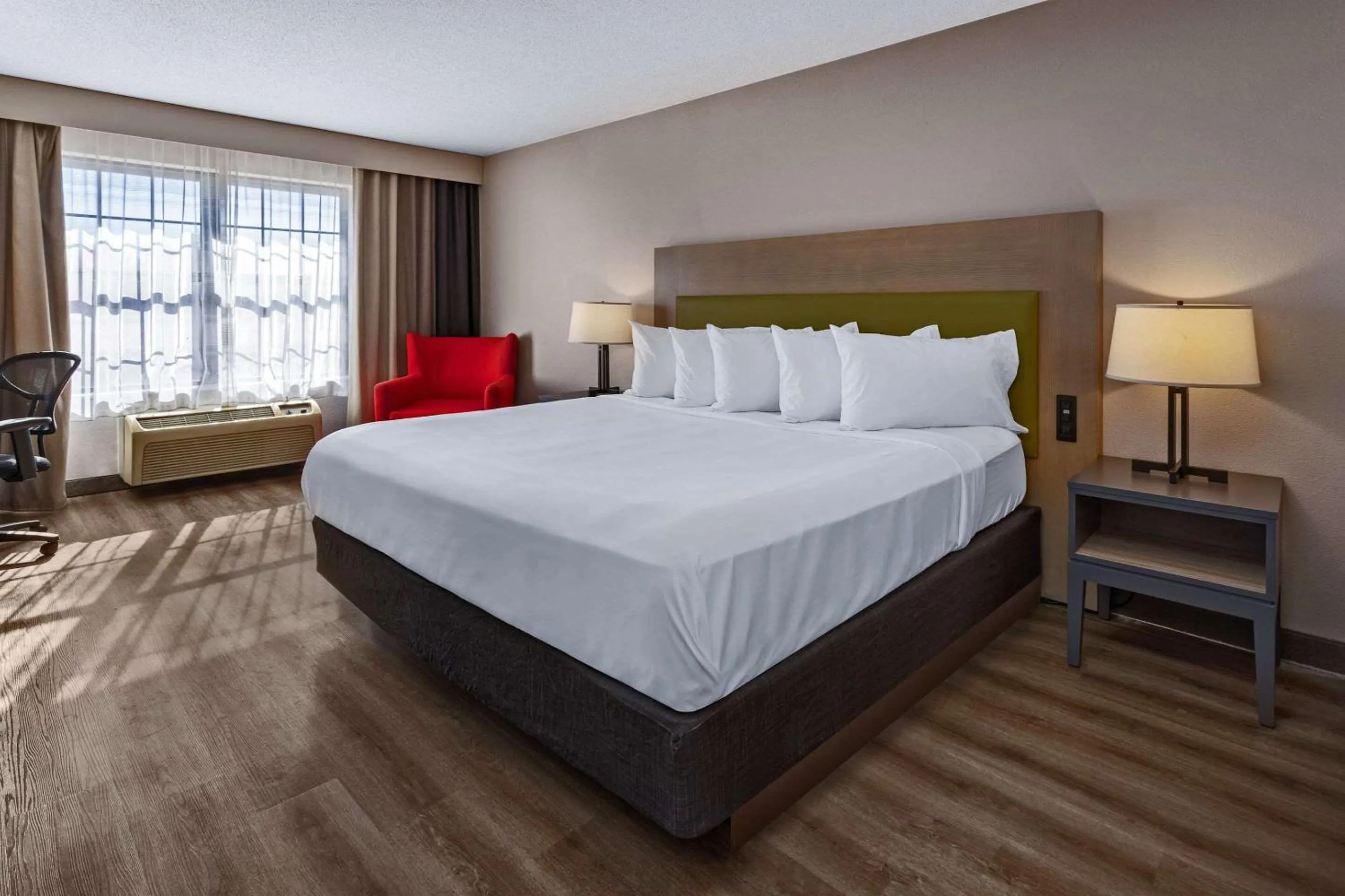 Queen Studio Suite - Disability Access/Non-Smoking in Country Inn & Suites by Radisson, Salisbury, MD