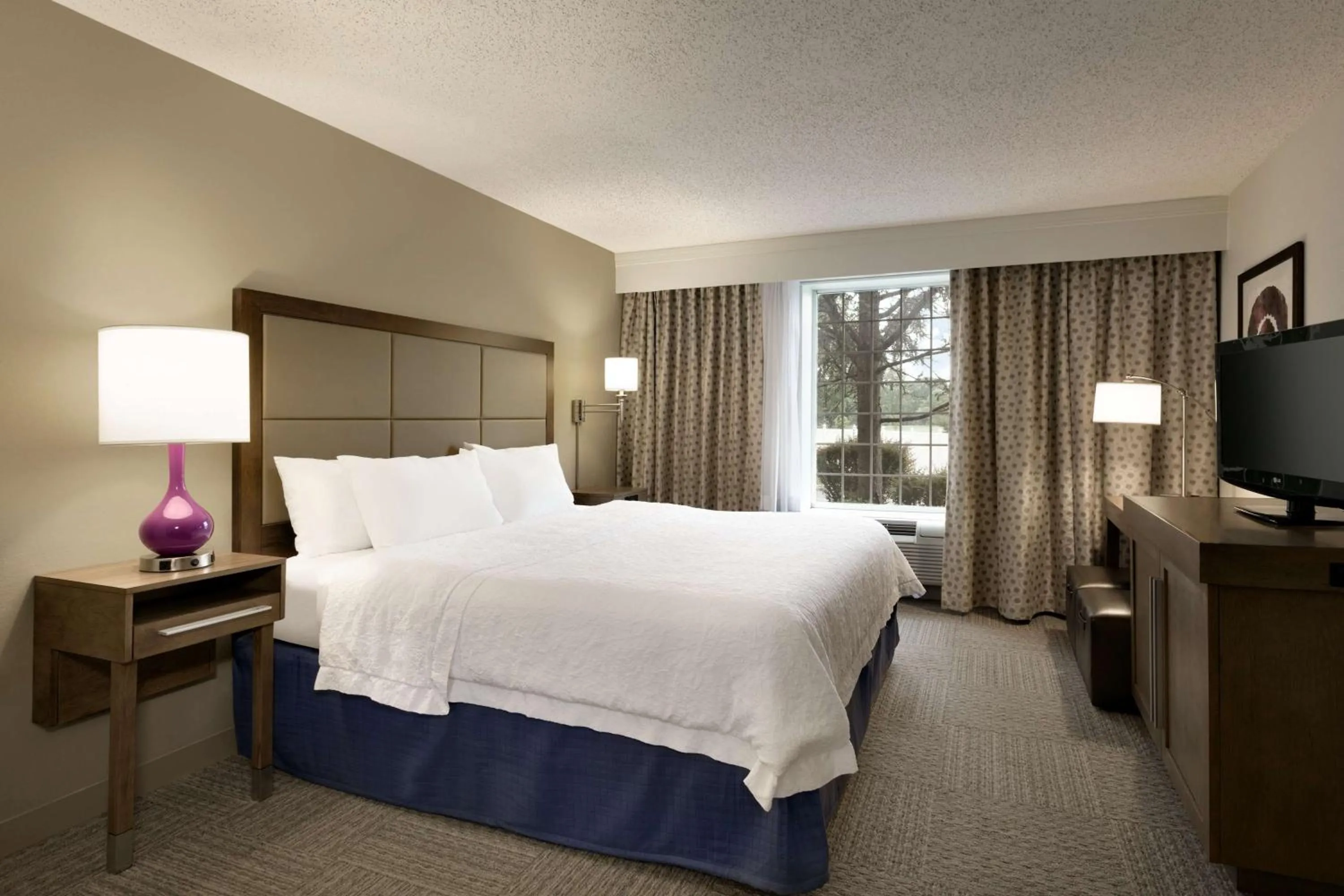 King Suite - Mobility and Hearing Access/Non-Smoking in Hampton Inn & Suites Hershey