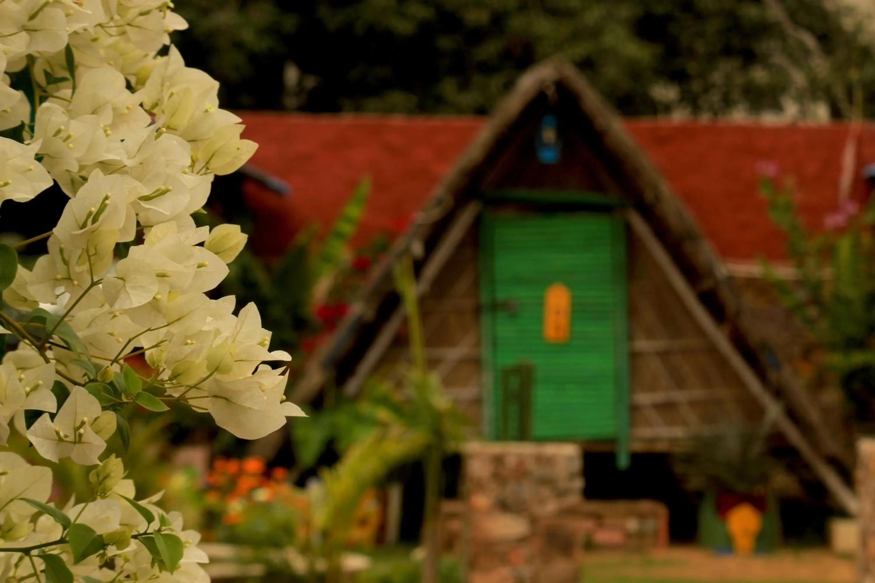 Tent in Namaste India