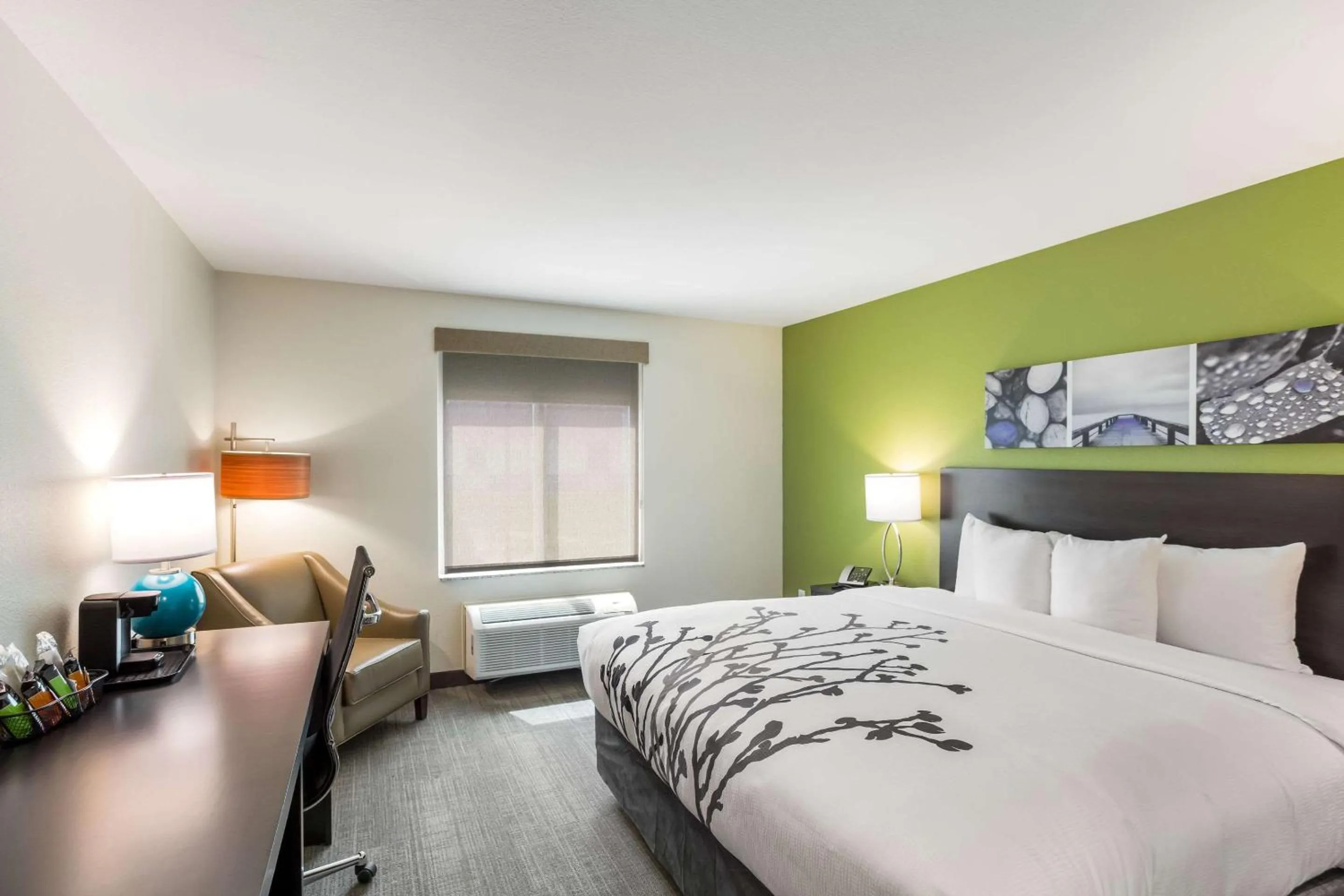 King Room - Non-Smoking in Sleep Inn Logan Ohio-Hocking Hills