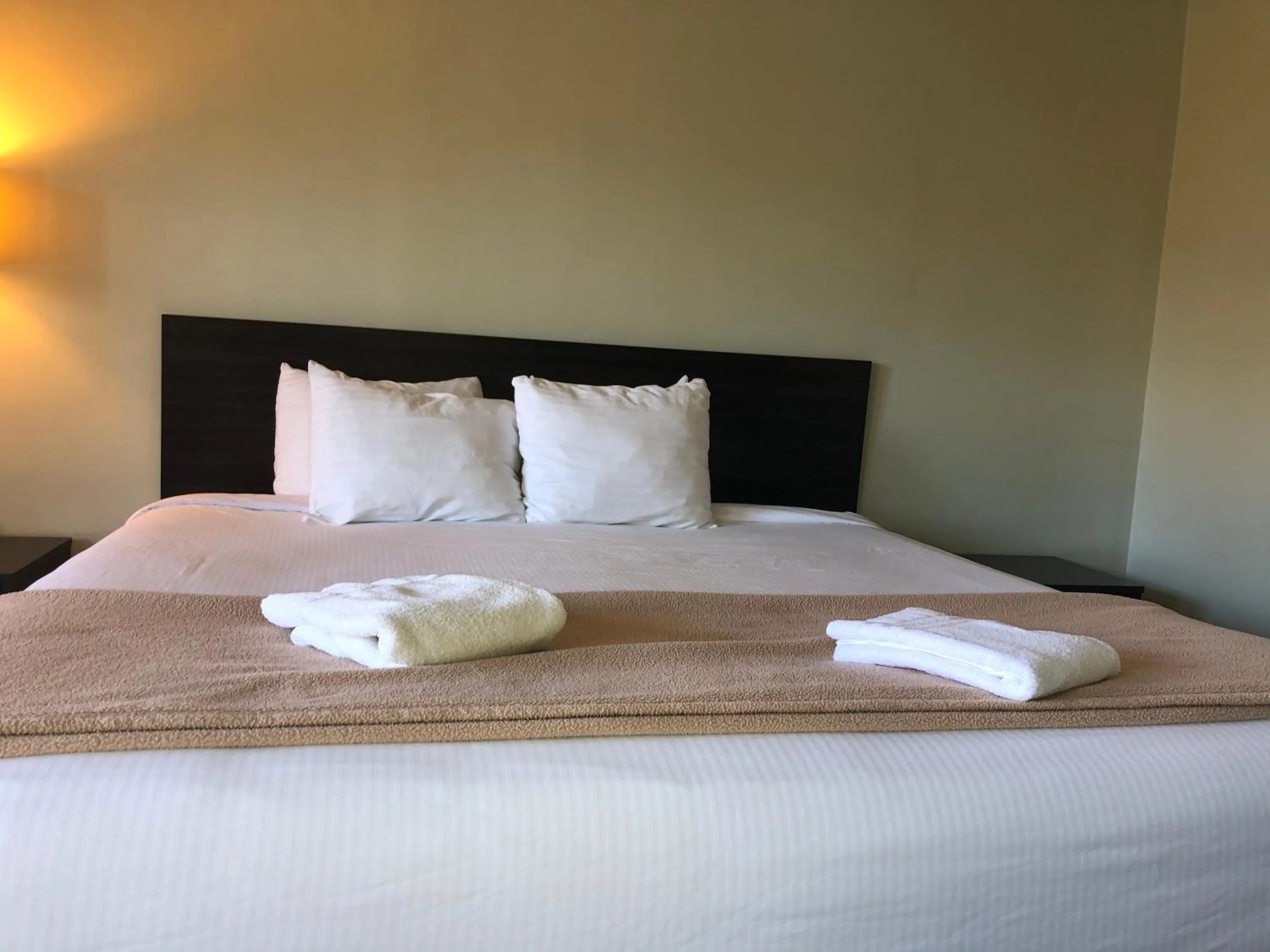 Standard King Room in Hotel Elevation