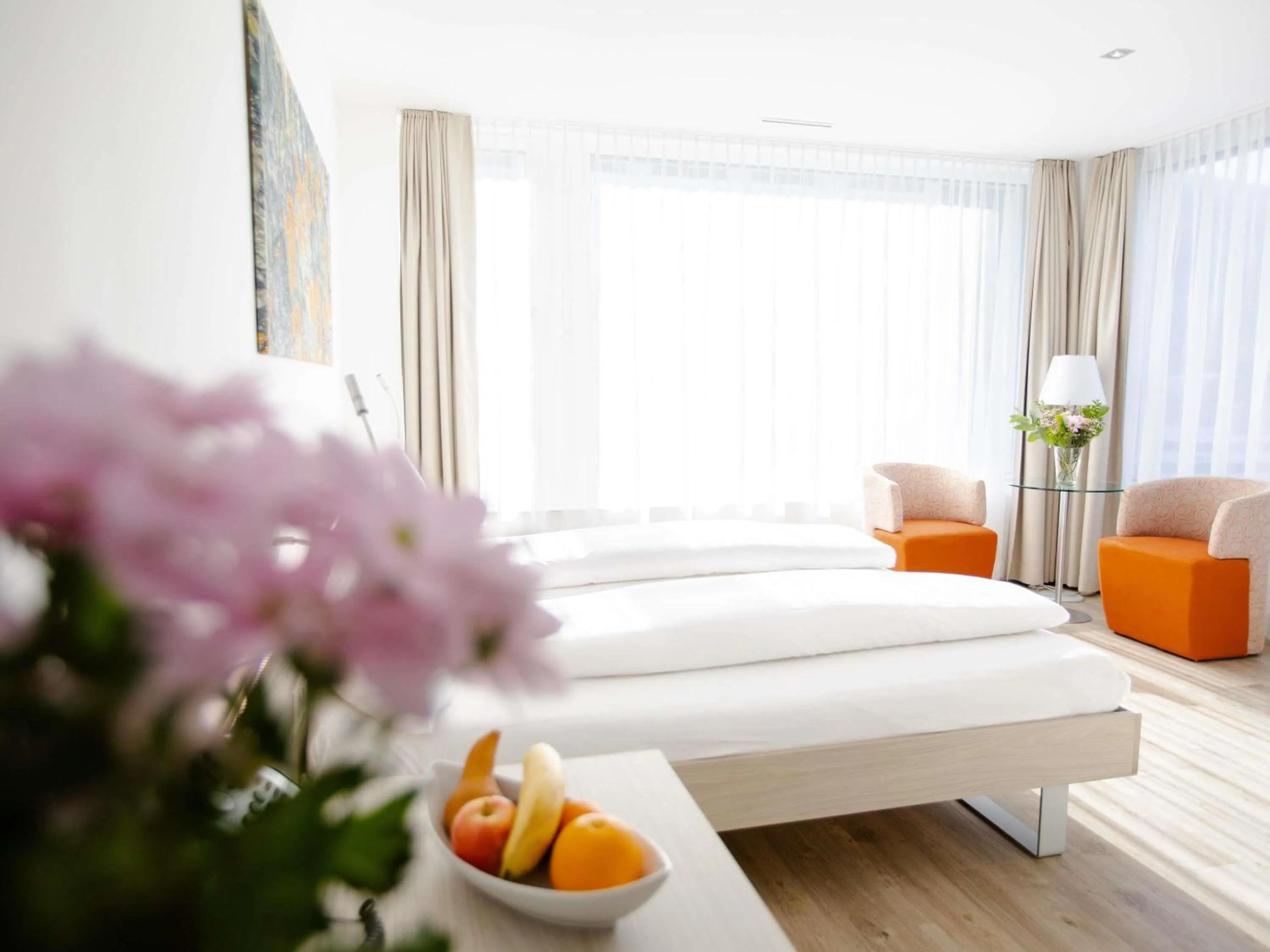 Superior Twin Room with Mountain View - single occupancy in Mercure Chur City West