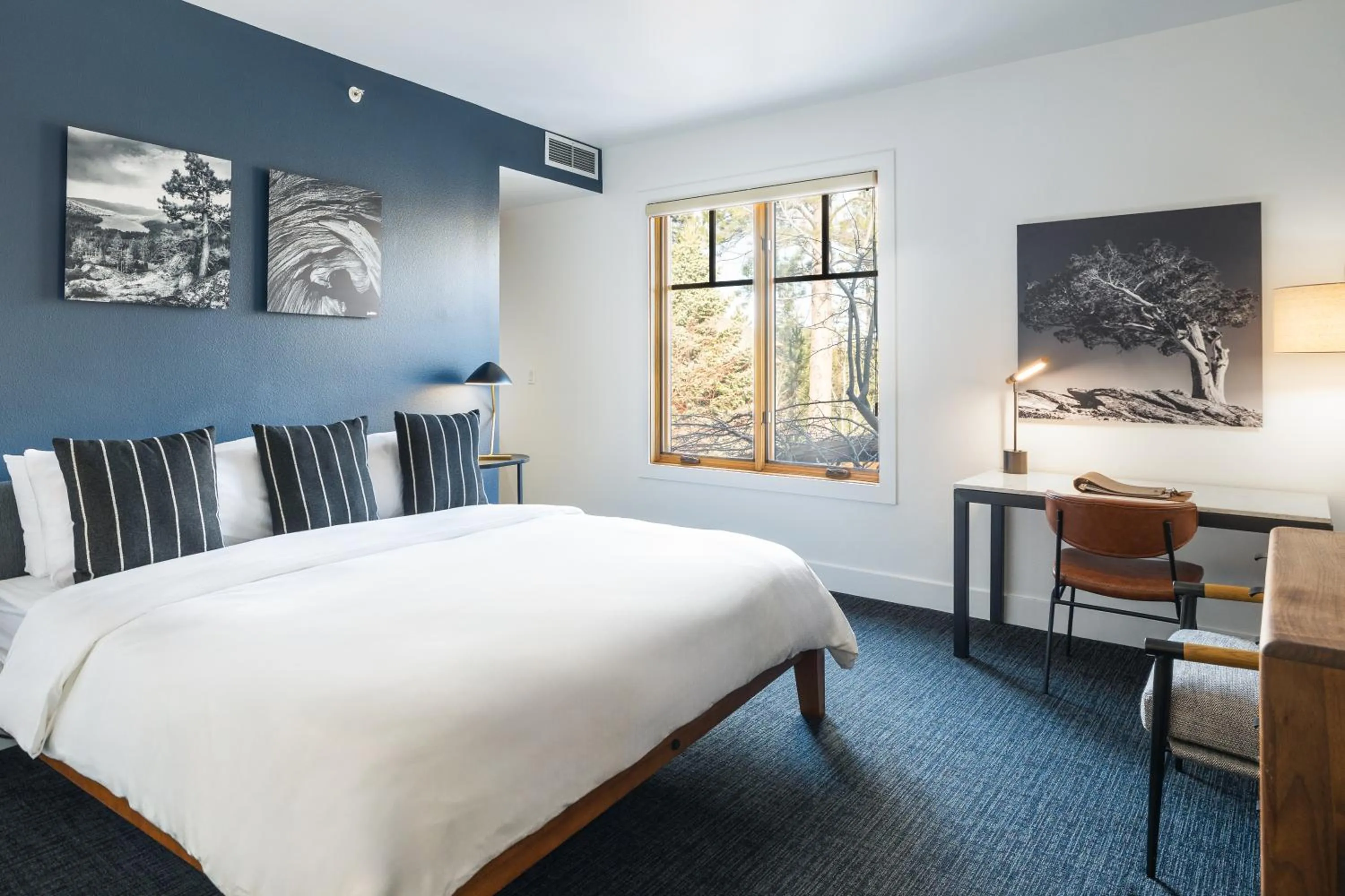  DELUXE RAMBLER | SINGLE KING in Gravity Haus Truckee-Tahoe