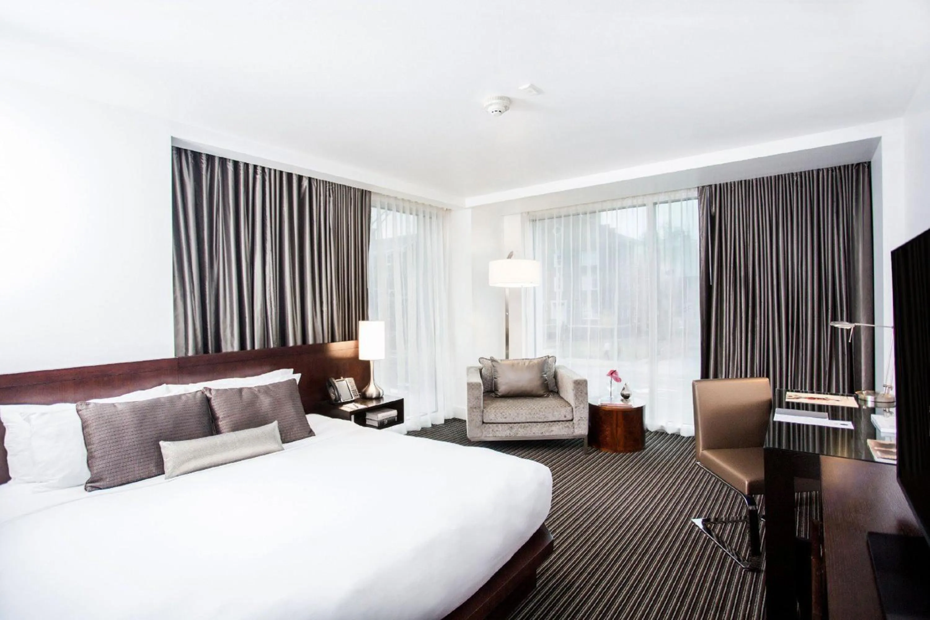 Premier King Room - Disability Access in Graduate by Hilton Dallas