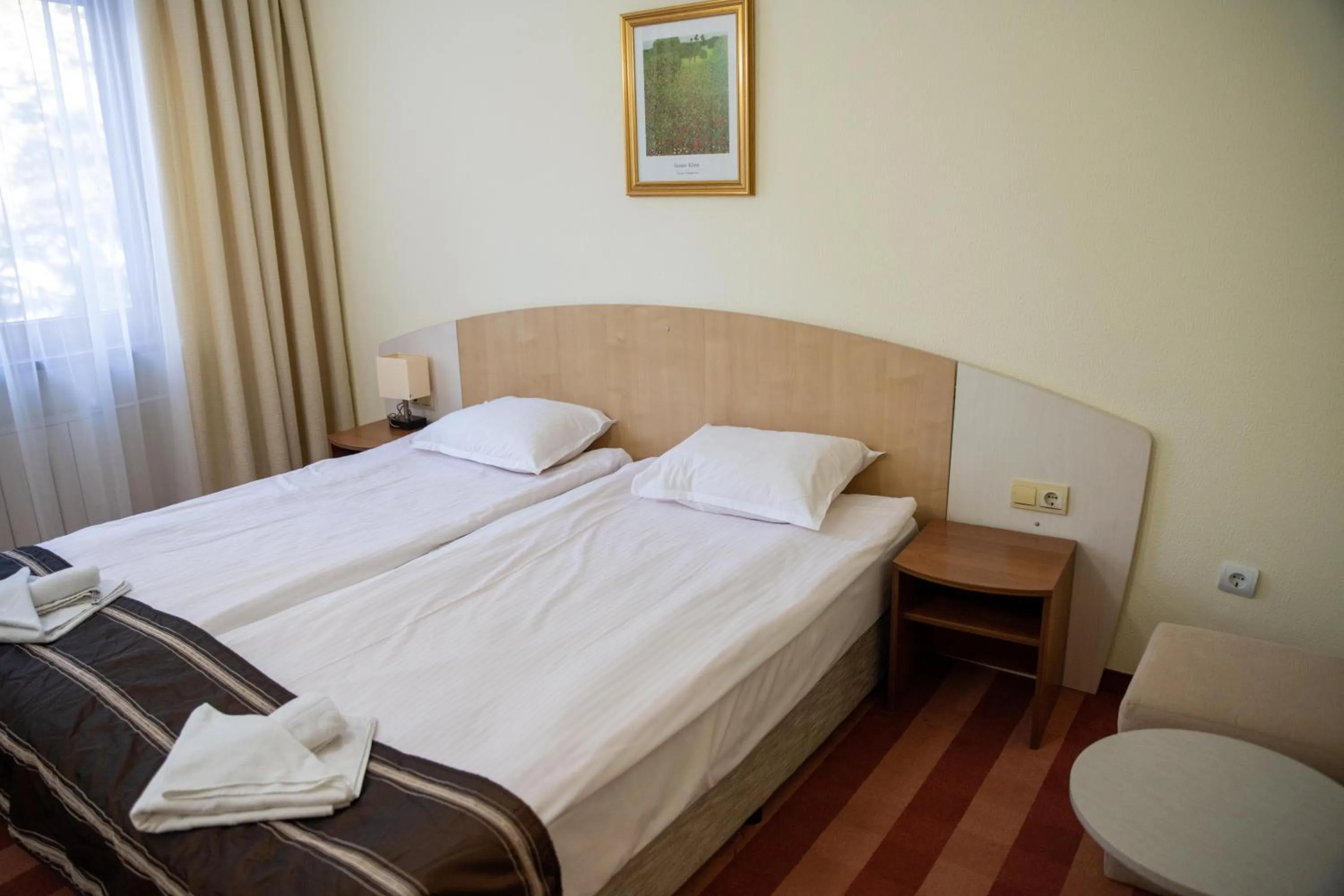 Double or Twin Room (2 Adults + 1 Child) with Ski Shuttle in Hotel Borovets Edelweiss