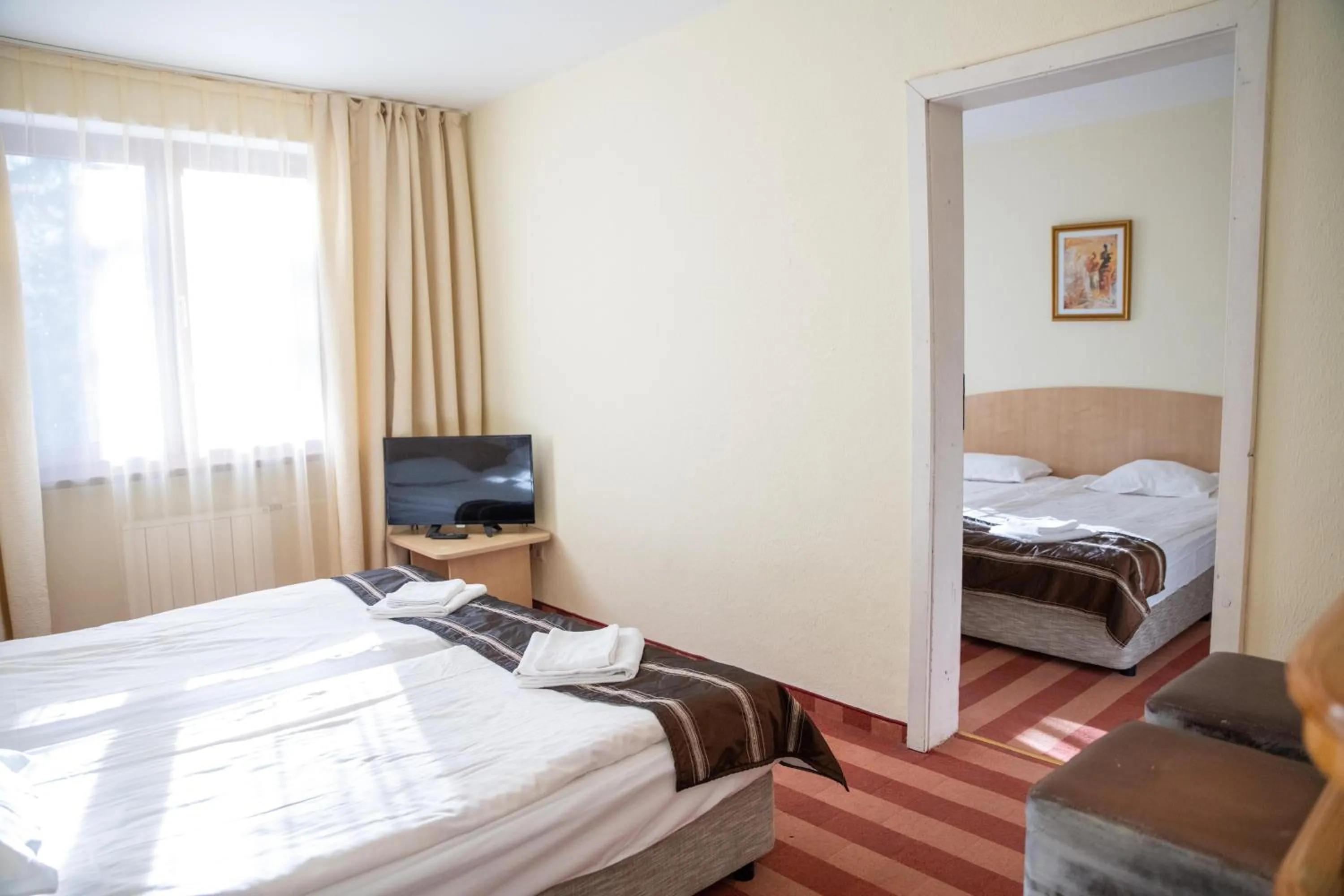 Apartment (3 Adults + 1 Child) with Ski Shuttle in Hotel Borovets Edelweiss