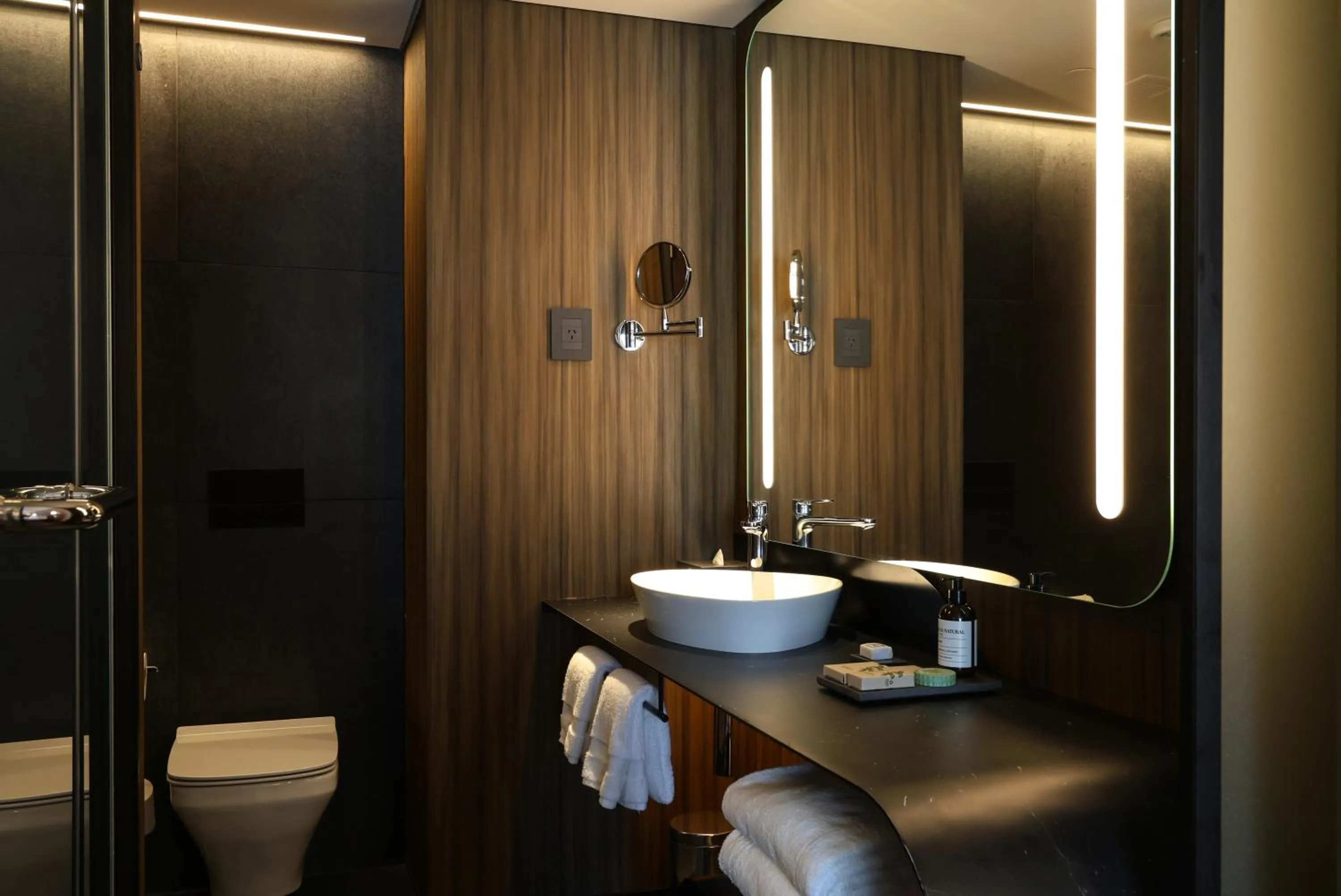 Executive Suite in Recoleta Grand, Buenos Aires, a Tribute Portfolio Hotel